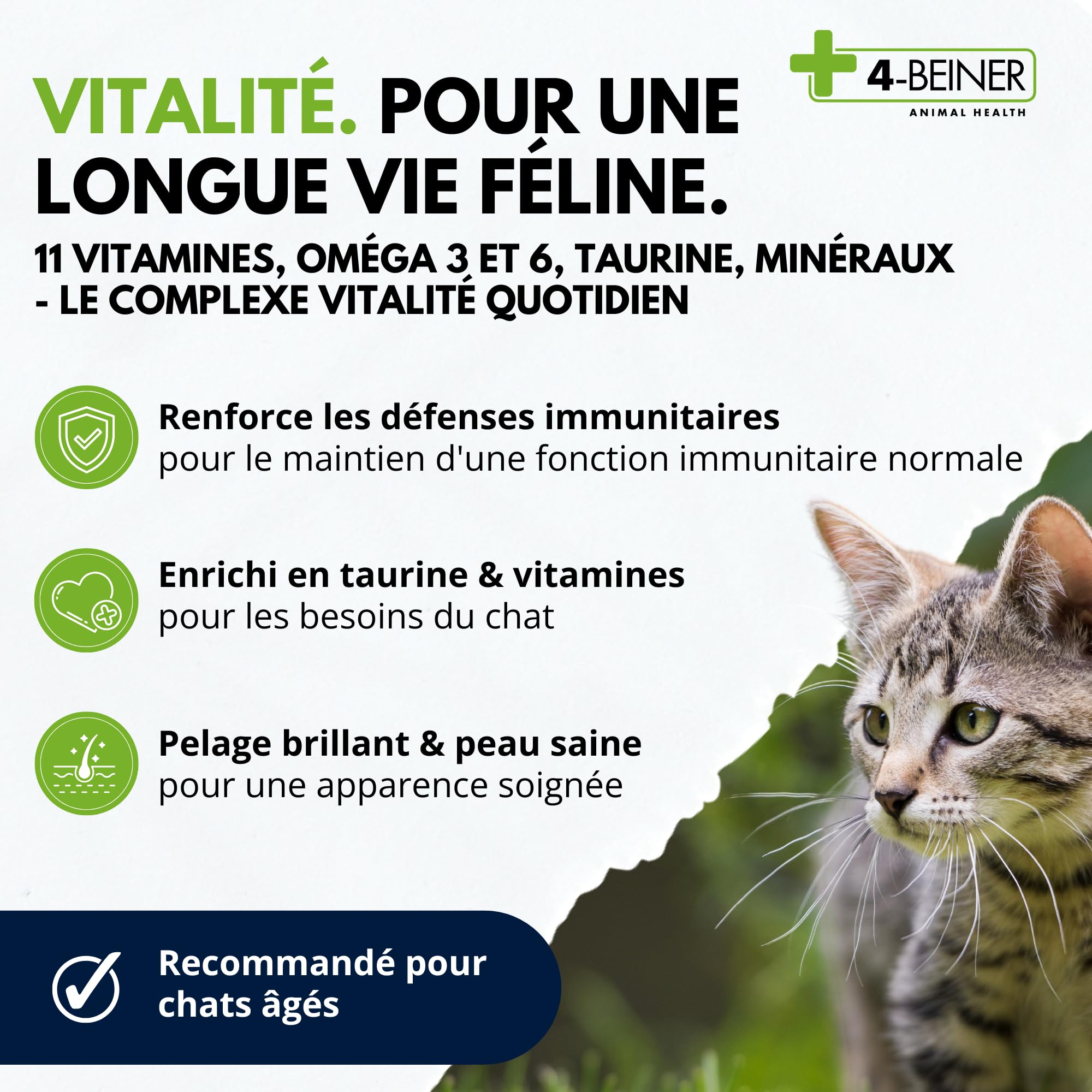 4-BEINER Vitality-Cat, 11 vitamines pour Chats Plus oméga 3, oméga 6, Zinc, sélénium, manganèse, cuivre, Fer, Taurine, multivitamines Chat, Poudre