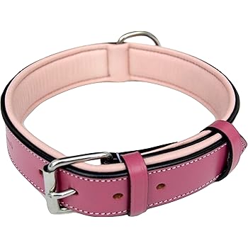 dog pedometer amazon