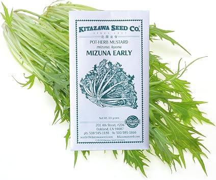 Mustard Seeds - Mizuna, Early -3 g Packet 1000 Seeds - Non-GMO, Heirloom - Asian Garden Vegetable, Microgreens & Herb Gardening