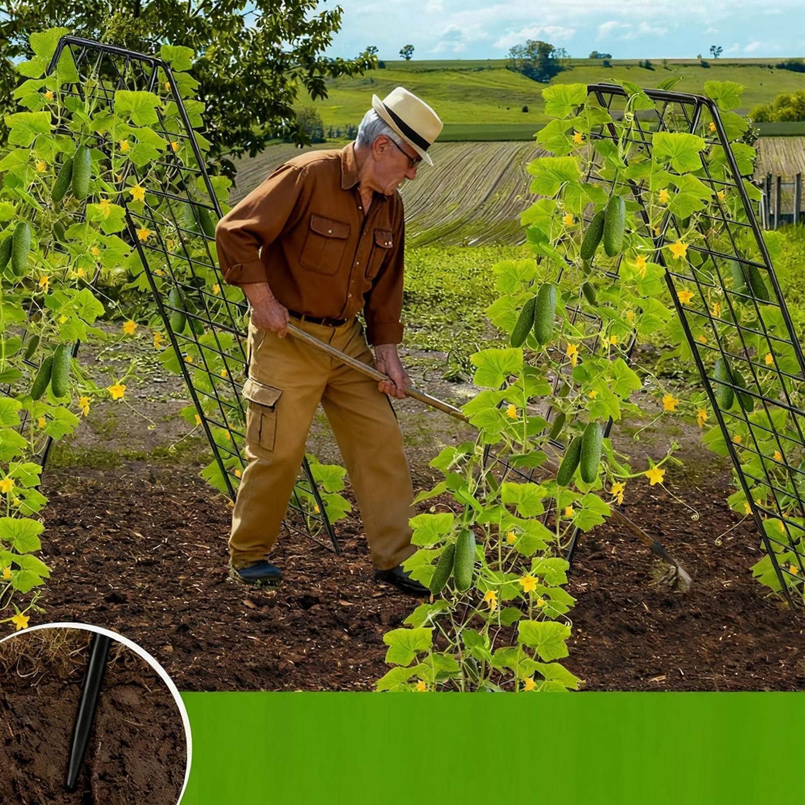 Rankgitter für Tomaten & Gurken, 2 Stück 100cm-Metall Pflanzenständer Rankhilfe Set, A-Form Gitterspalier für Kletterpflanzen, Gemüse & Obst