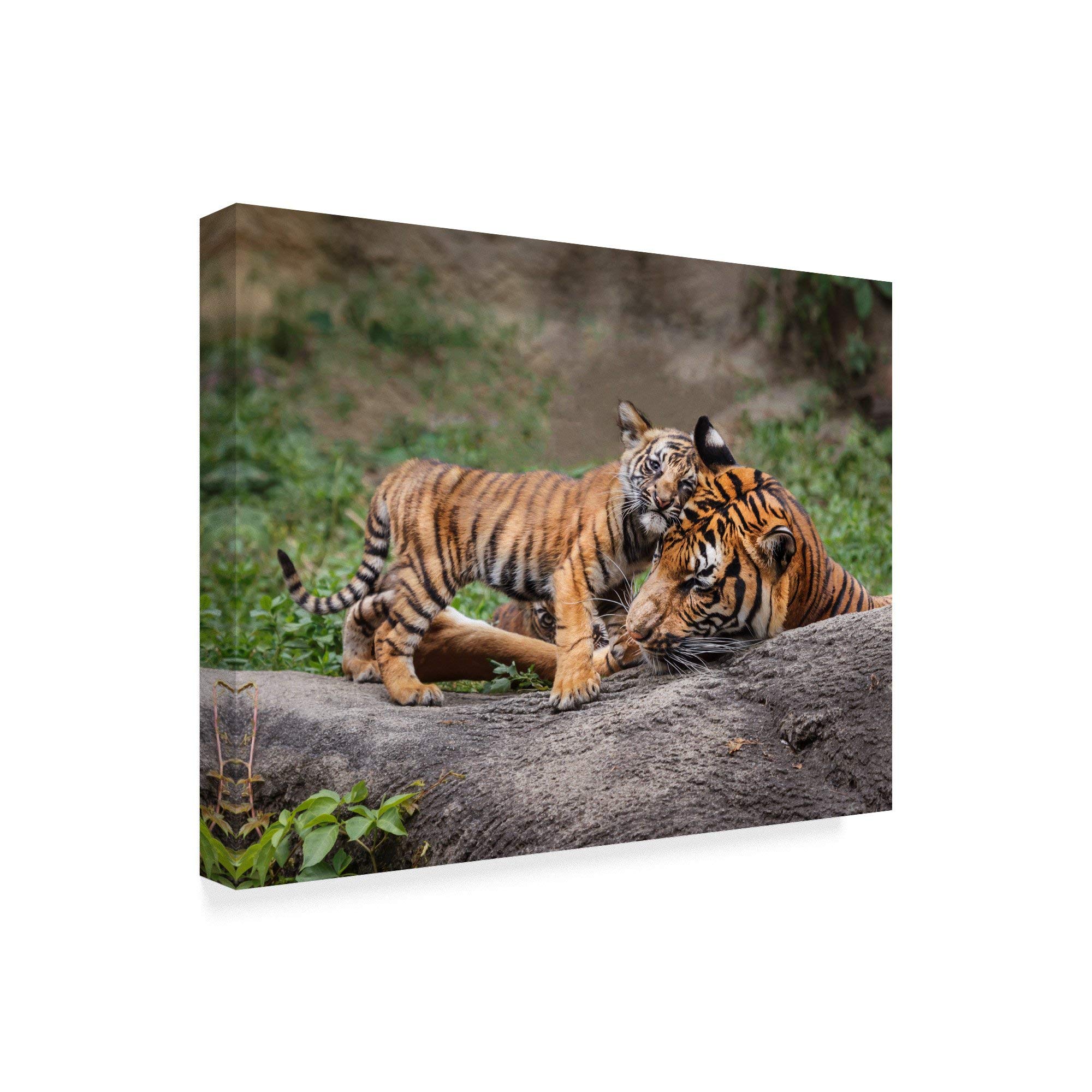 Trademark Fine Art ALI34937-C2432GG Fine Art, 24x32-Inch, Multicolor