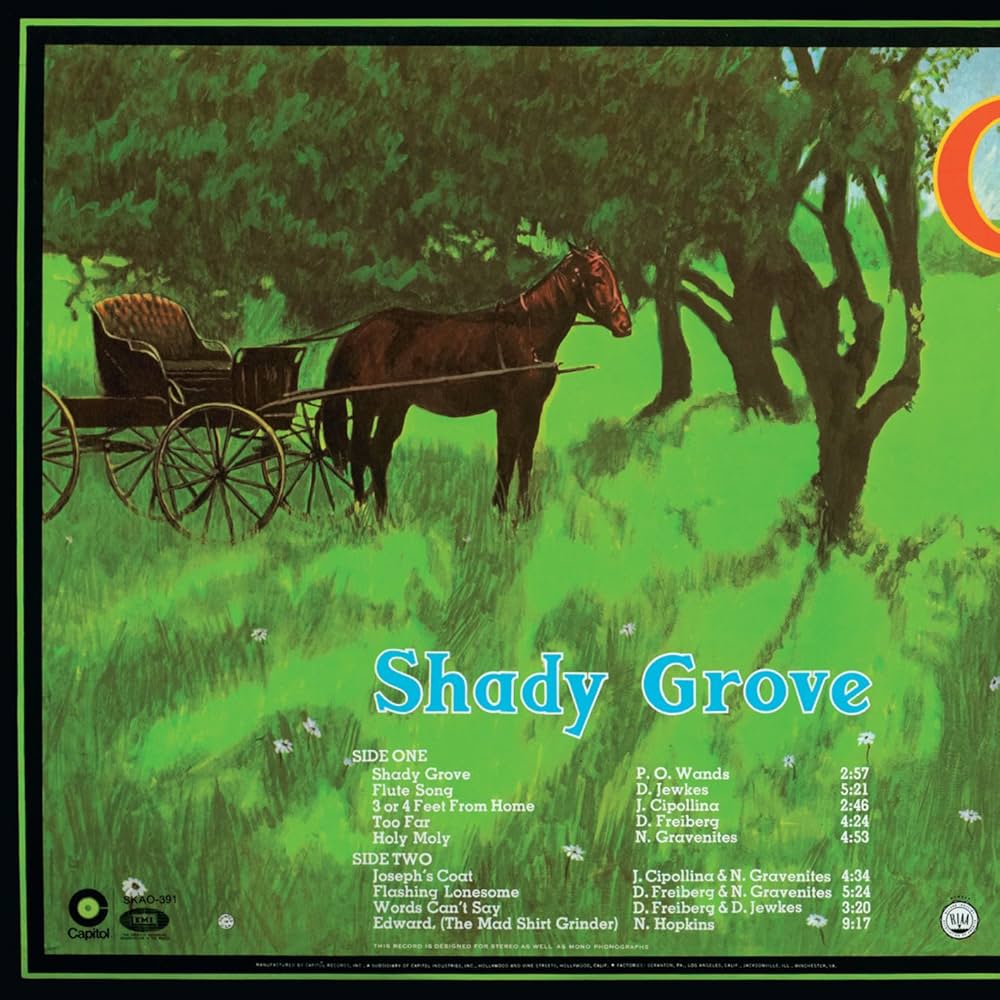 SHADY GROVE シェイディー・グローヴ 51DCHYRQQML._AC_UF350,