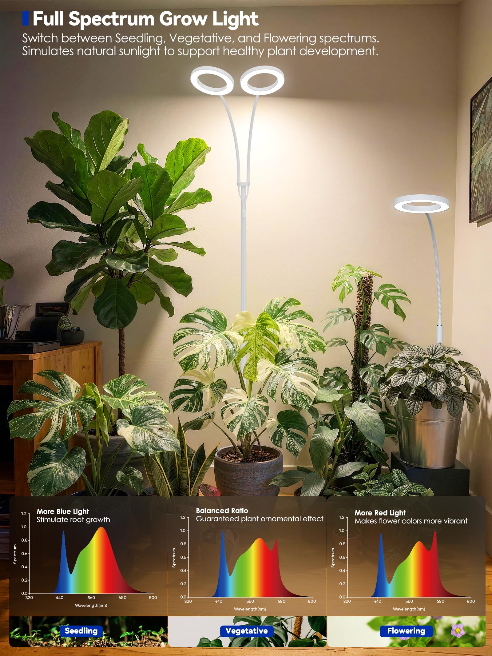 GLOWRIUM Grow Lights für Zimmerpflanzen, 20W Vollspektrum LED Grow Light Stehlampe mit Ständer Einstellbare Höhe und Winkel, Schwarz Pflanzenlicht mit 3/9/12H Grow Light Timer (White, 36W)