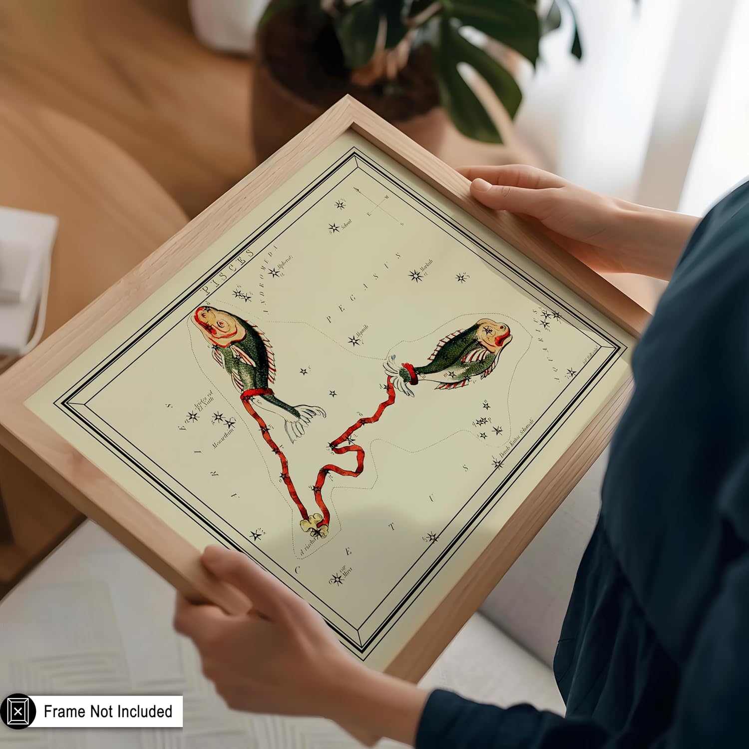 Poster Master Astrology Posters, Pisces Zodiac Constellation Poster, 8x10 Unframed Art Print, Great Vintage Zodiac Poster, Aptitude Vintage Home Wall Decor for Astrology Enthusiasts