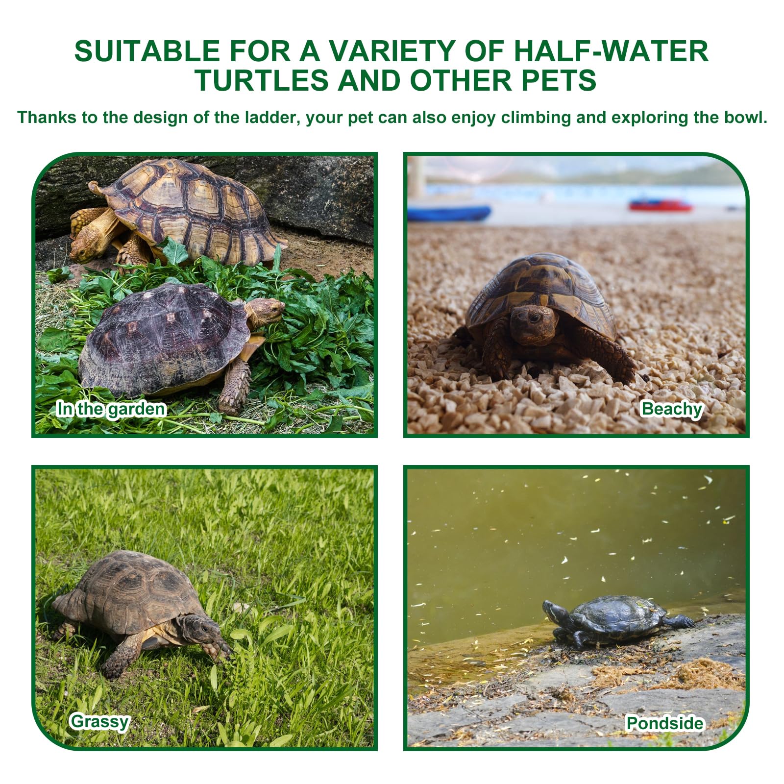 Baignoire pour Reptiles, Bac De Bain pour Reptiles, Piscine pour Tortues Gamelle Reptile Bol d'eau pour Reptiles Gamelle pour Reptiles Antidérapant avec Drainage pour Tortues, Reptiles 31x25x5cm