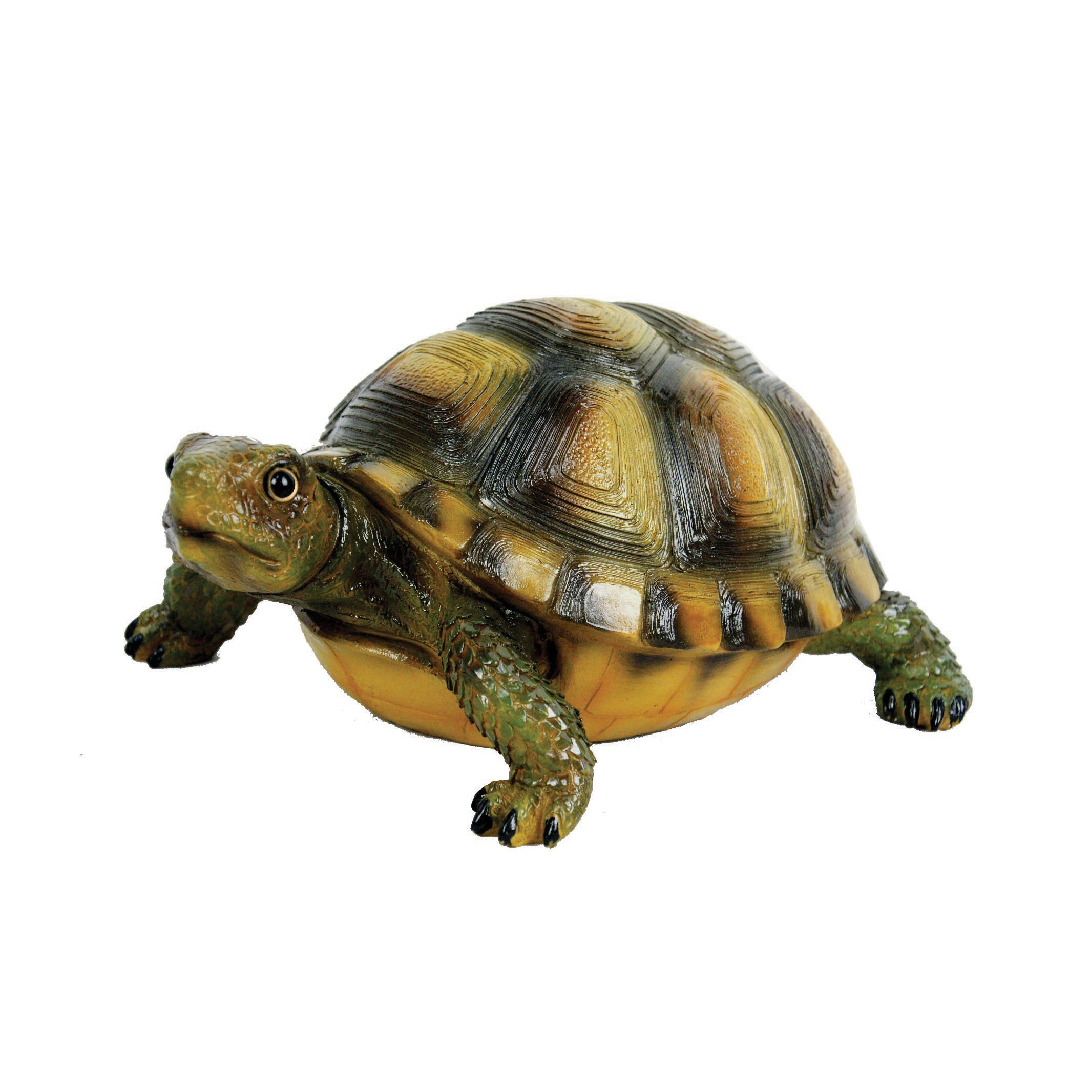 インド亜大陸のカメ　ドイツ語版　Die Schildkröten des‥ Amazon.com : Desert Turtle by Michael Carr Designs - Outdoor