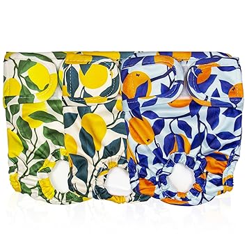 Pet Magasin Reusable Washable Dog Diapers (Pack of 3), Highly Absorbent with Strong & Flexible Velcro (Botanical, Small) for Incontinence, Dogs in Heat, or Excitement Urination
