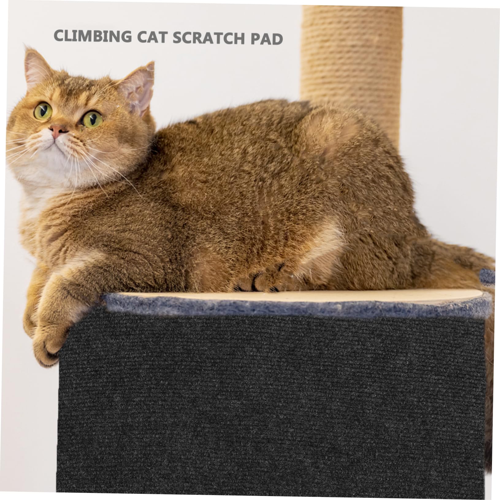 Sosoport 4stücke Sofa Kratzmatte Für Katzen Selbstklebender Kratzschutz Praktische Kratzfläche Für Möbel Wände Und Böden Für Aktive Kätzchen Möbelpflege