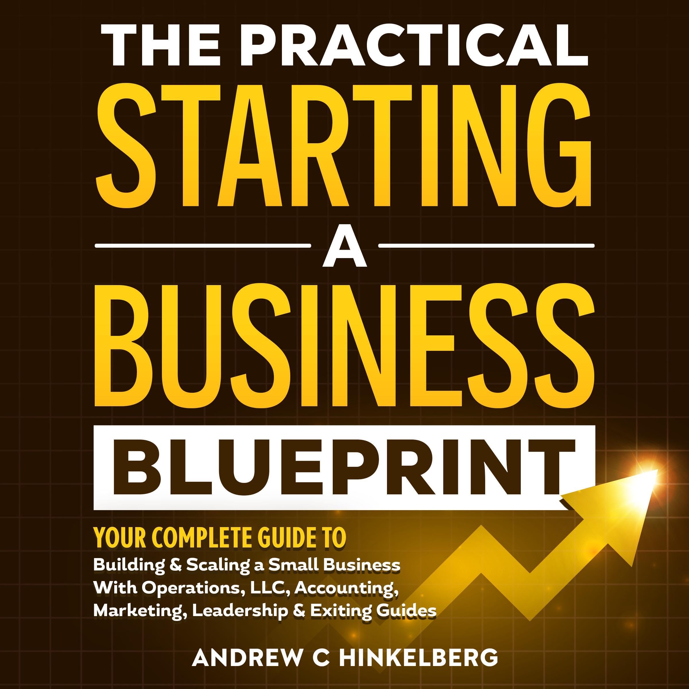 The Practical Starting a Business Blueprint
