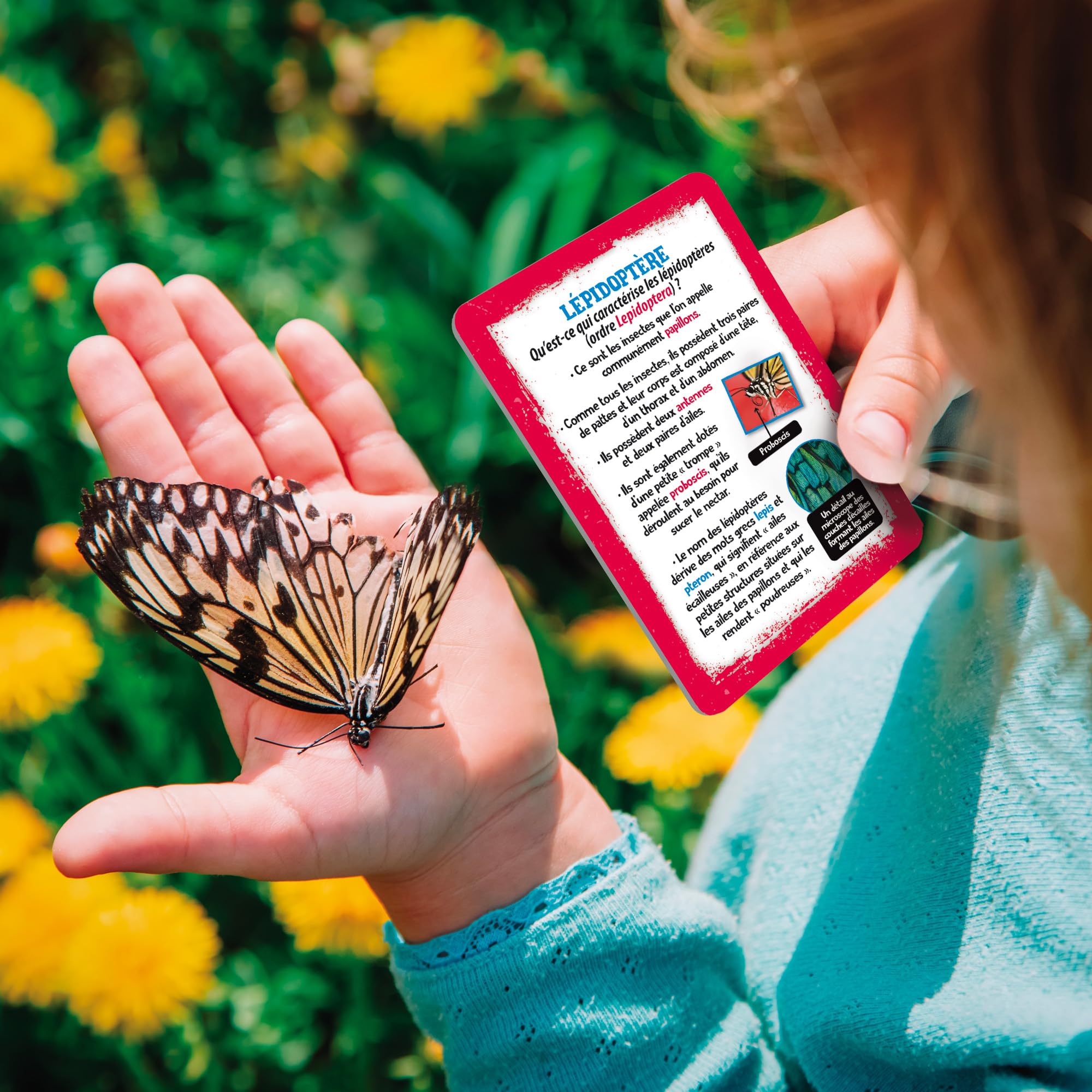 Lisciani - I’m A Genius - Laboratoire des Explorateurs - Kit Scientifique Enfants 7 à 12 ans - Instruments Exploration Nature - Jumelles Loupe Lampe Boussole - Observation Nature
