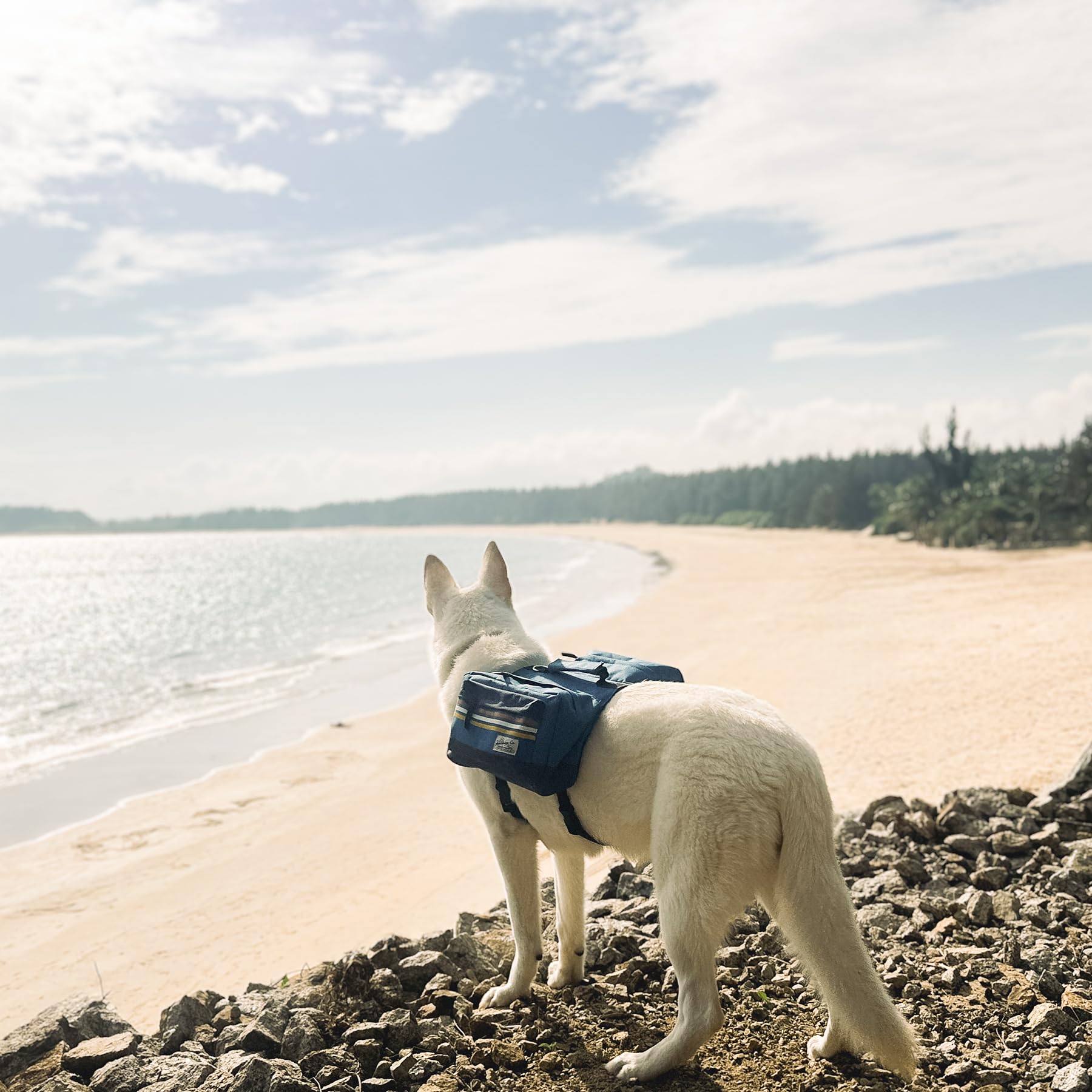 Mochila para perros medianos y grandes – Paquete para perros con asa | Arnés para perro con paquetes laterales grandes | Bolsa de sillín para perro al aire libre para senderismo, camping