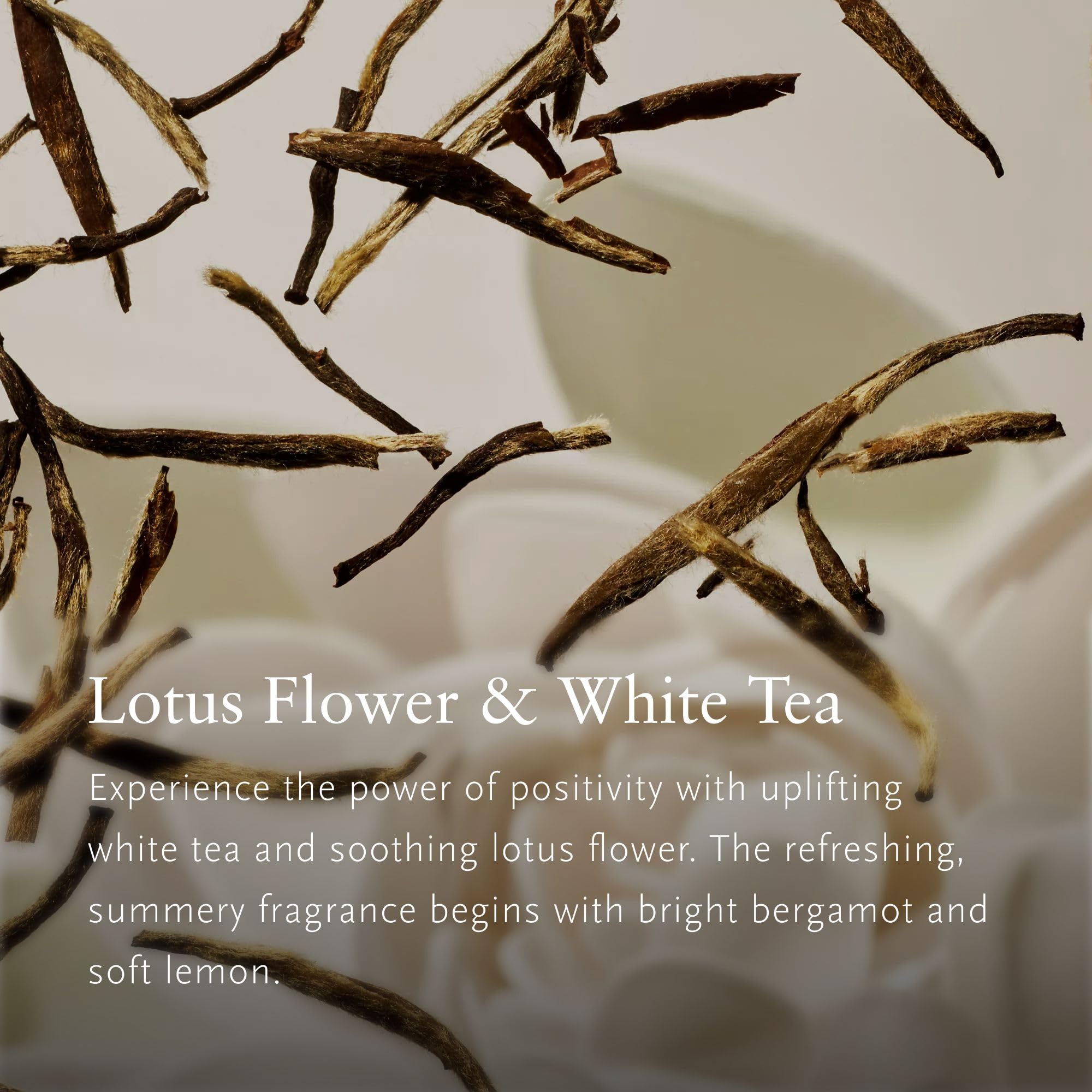 Rituals Raumspray The Ritual of Karma – Lufterfrischer mit Lotus und weißem Tee – entspannender und frischer Raumduft für ein einzigartiges Dufterlebnis – 500 ml