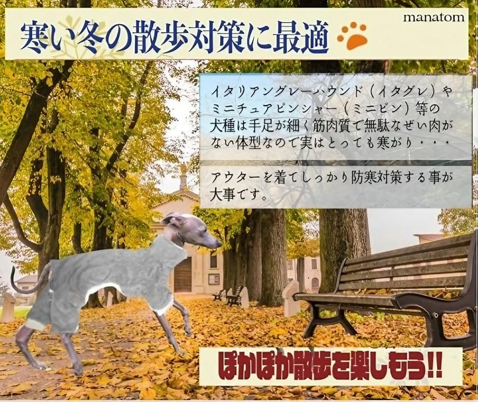 Amazon | manatom イタグレ 服 おしゃれ イタリアングレー