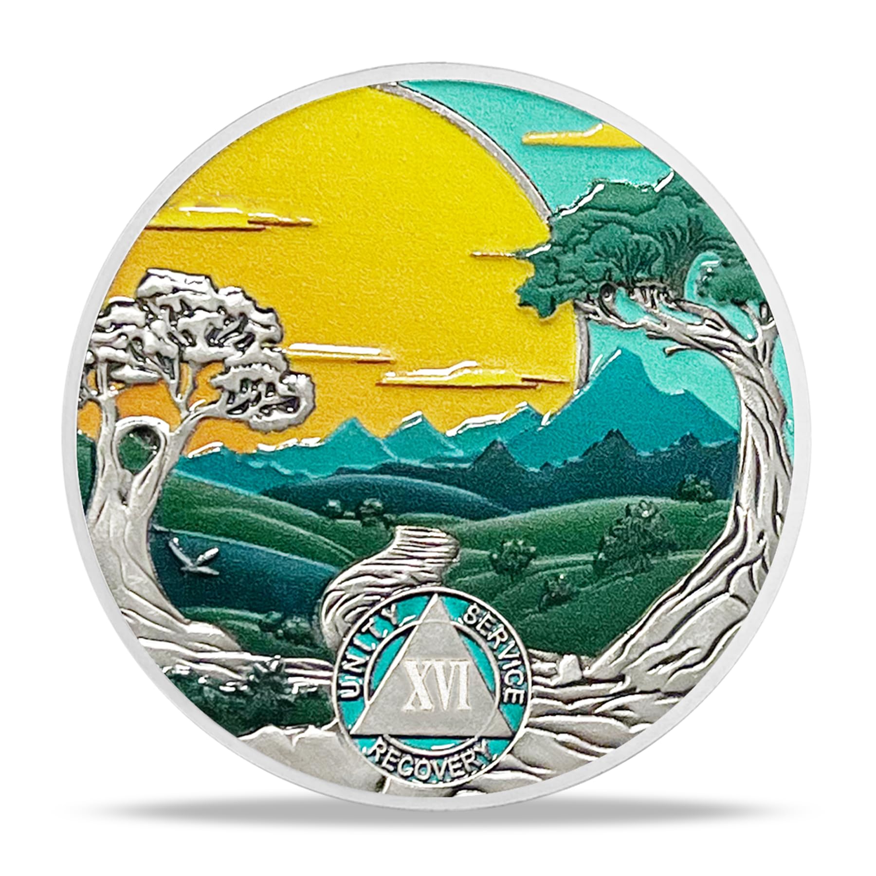 Imasoner 16 Year AA Sobriety Coin Alcoholics Anonymous Recovery Medallion with Serenity Prayer Sober Anniversary Token AA Chip for Milestone Recovery