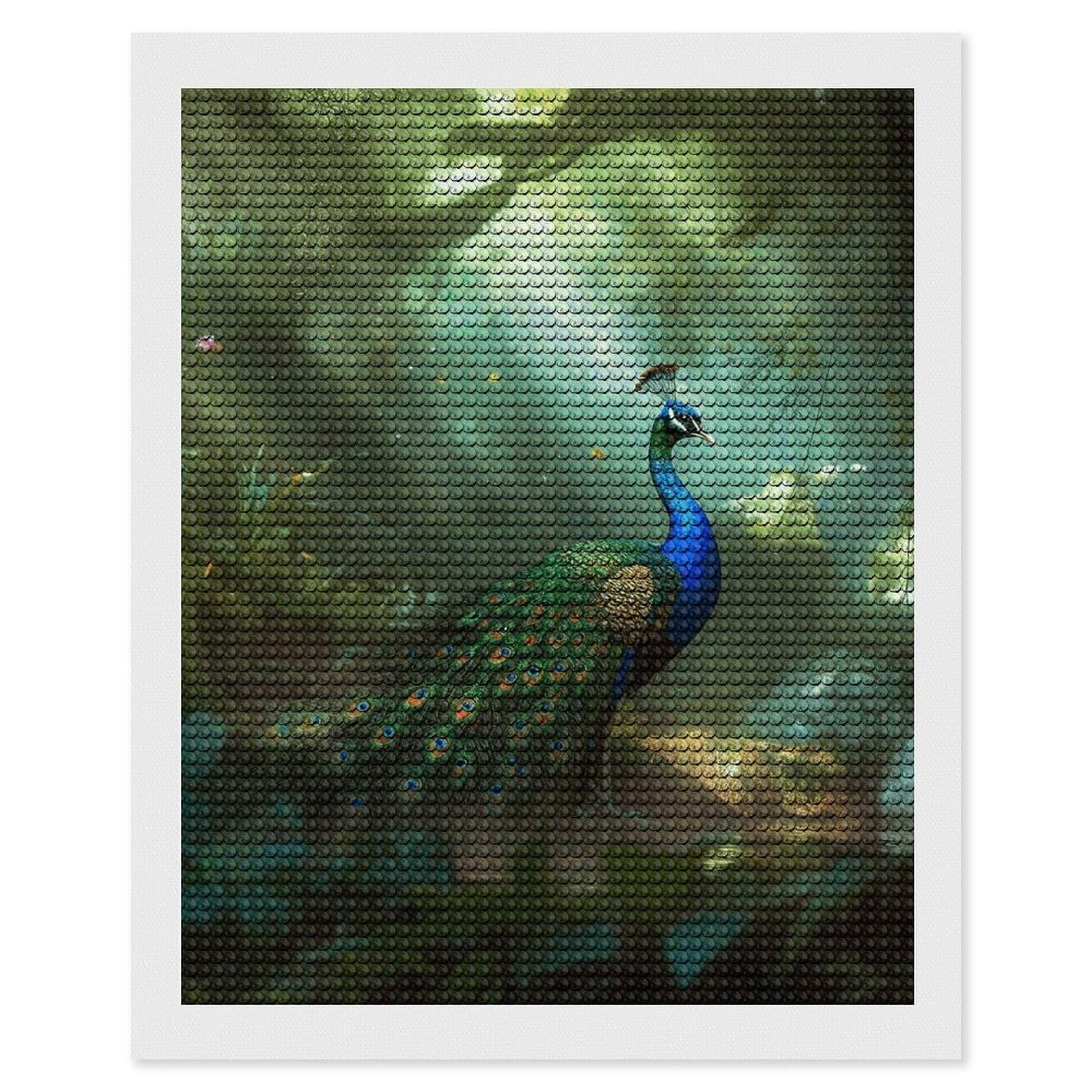 NONHAI Diamond Painting Kits for Adults - DIY Diamond Art Kits for Beginners - Full 5D Paint Drill Diamond Dots Paintings- Peacock Diamonds Pictures Gem Art and Craft Wall Decor 16"x20"