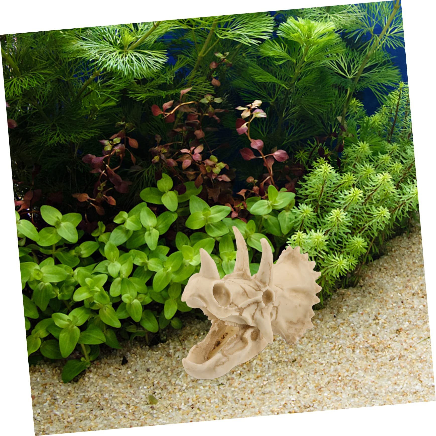 POPETPOP 4 Piezas Decoración De Pecera Escondite De Pecera Escondite De Camarones De Pescado Decoración del Terrario del Cráneo Adorno De Paisajismo De Acuario Pecera para Niños Resina