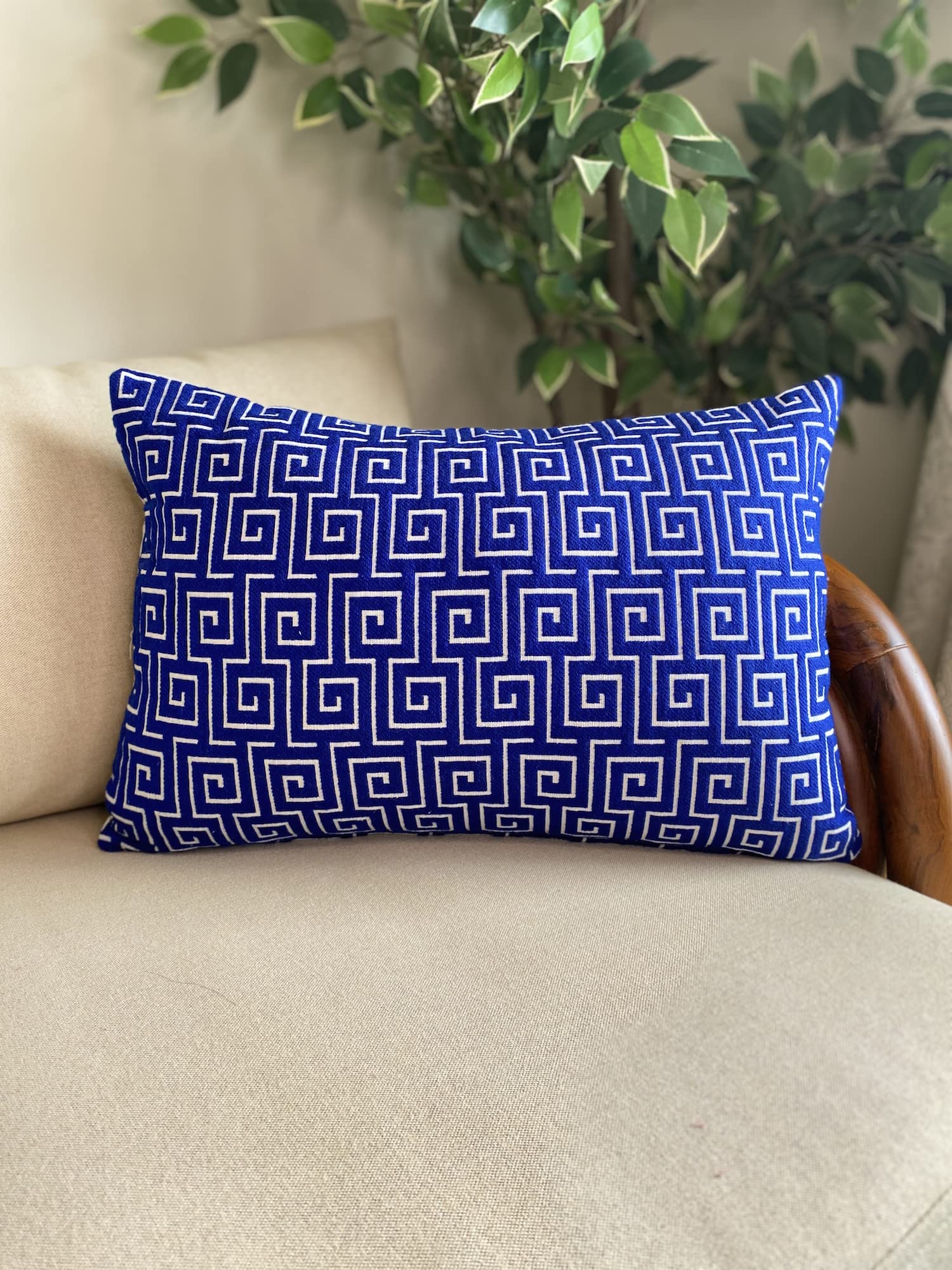 EARTHY INDIA Cushion Covers | Nature Inspired Design and Vibrant Colors | Decorative Designs in Royal Blue Maze | Velvet Cushion Covers - Set of 2 (12x18) (B0BFH4PDSK) Amazon Price History, Amazon Price Tracker