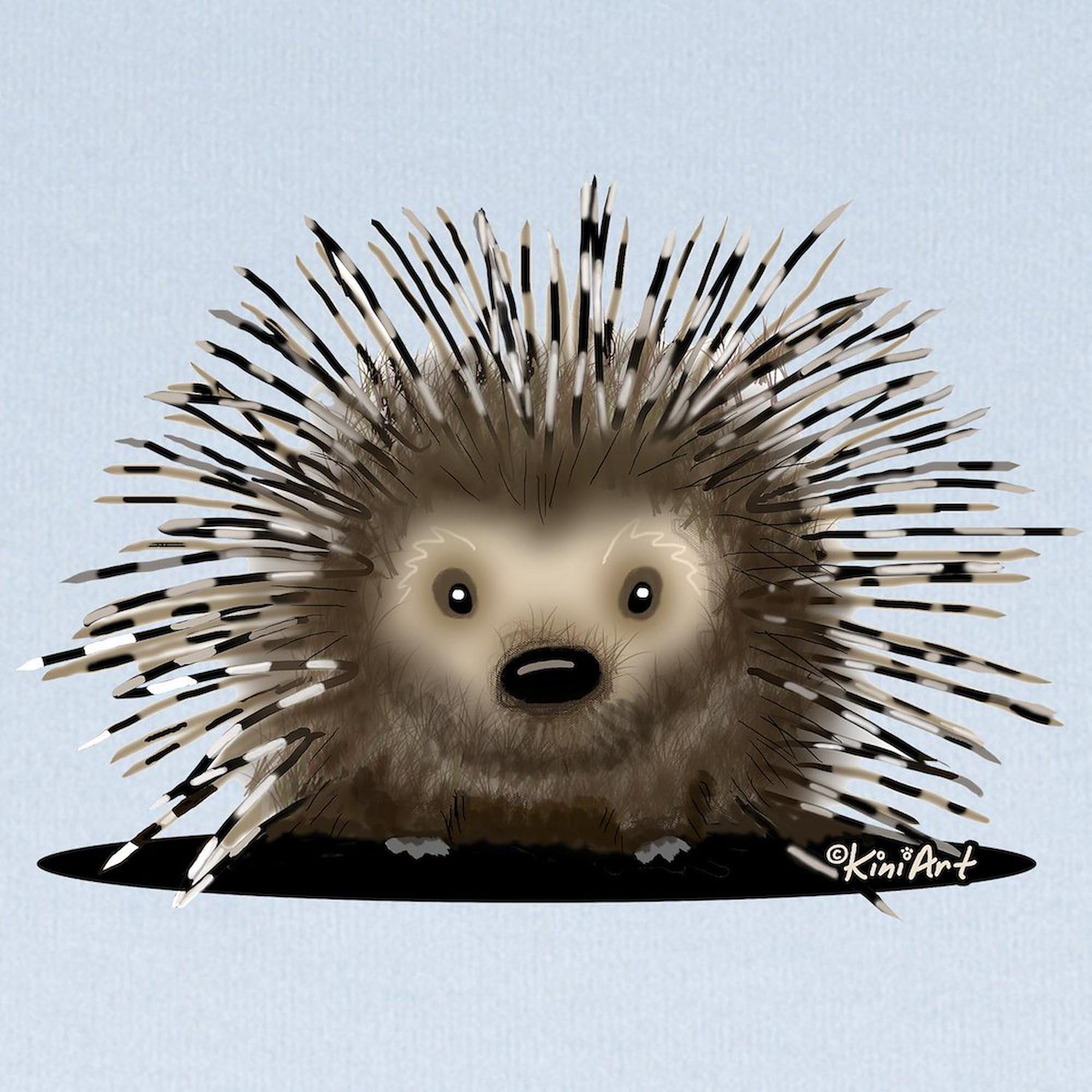 CafePress Porcupine Baby Blanket, Super Soft Newborn Swaddle