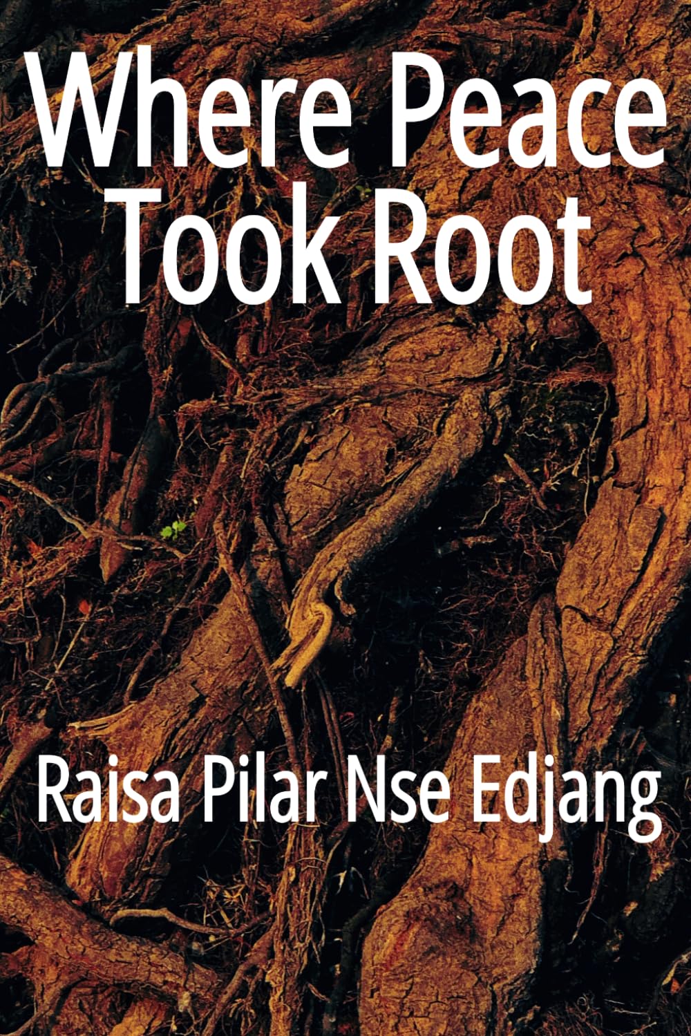 Where Peace Took Root: A reflective journey to healing after disappointment, rebuilding self-trust, and finding inner peace.