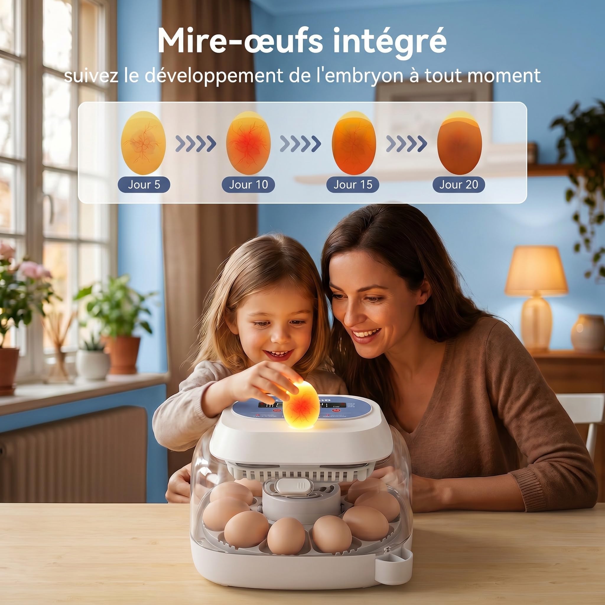 Sailnovo Couveuse oeuf automatique 12 œufs - Incubateur oeuf automatique vue 360°, 4 modes multi-espèces, Contrôle température, Retournement auto, Mire-Œufs Intégré (Bleu)