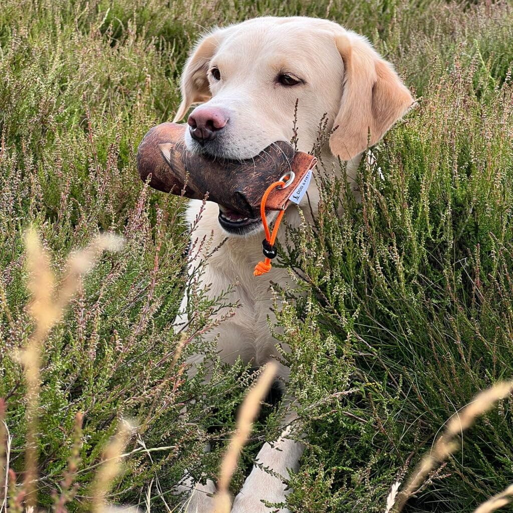 The Original Clone® Realistic Game Bird Dog Training Dummies, Canvas Dummy With HD Feather Print For Gundog & Puppy Training - Image 2