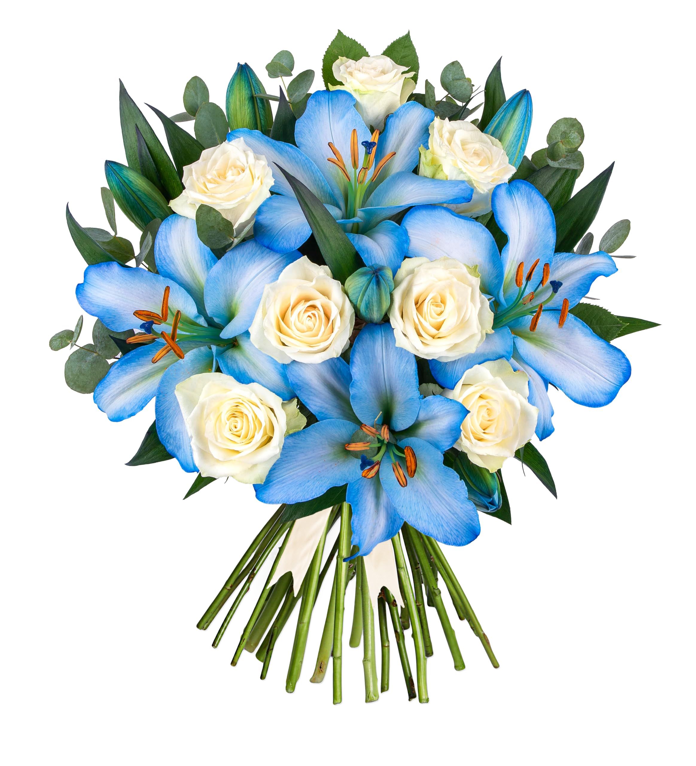 Ocean Rose and Lily - Fresh Cut Flowers - White Roses for Birthday, Anniversary, Get Well, Thank You, Sympathy, Wedding, Celebration - Floral Arrangement for Home Décor, Gift (Large)