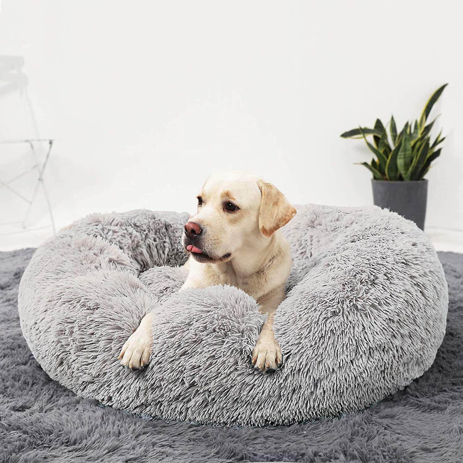 Segle Donut Hundebett Weich – Selbstwärmend, Rund, Mit Erhöhtem Rand, Wasserabweisend, Maschinenwaschbar