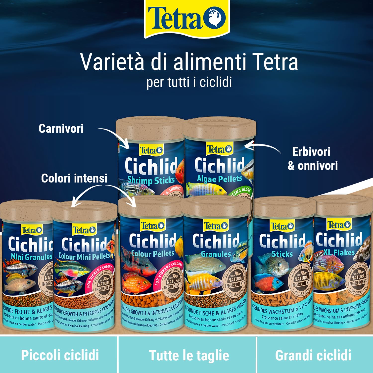 Tetra Cichlid Granules - Miscela di cibo principale con 2 granuli diversi per ciclidi di medie dimensioni, lattina da 500 ml