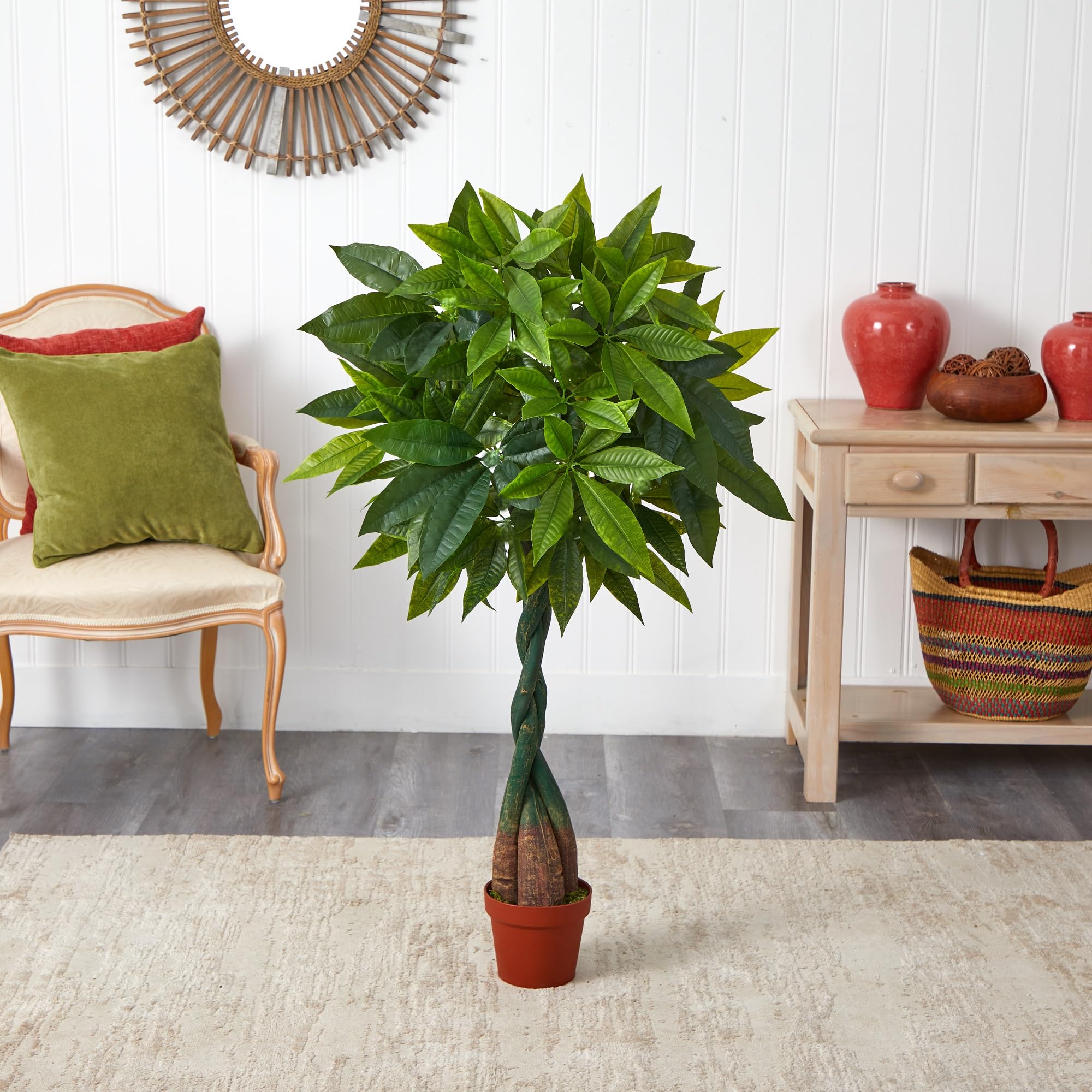 african philodendron Philodendron 