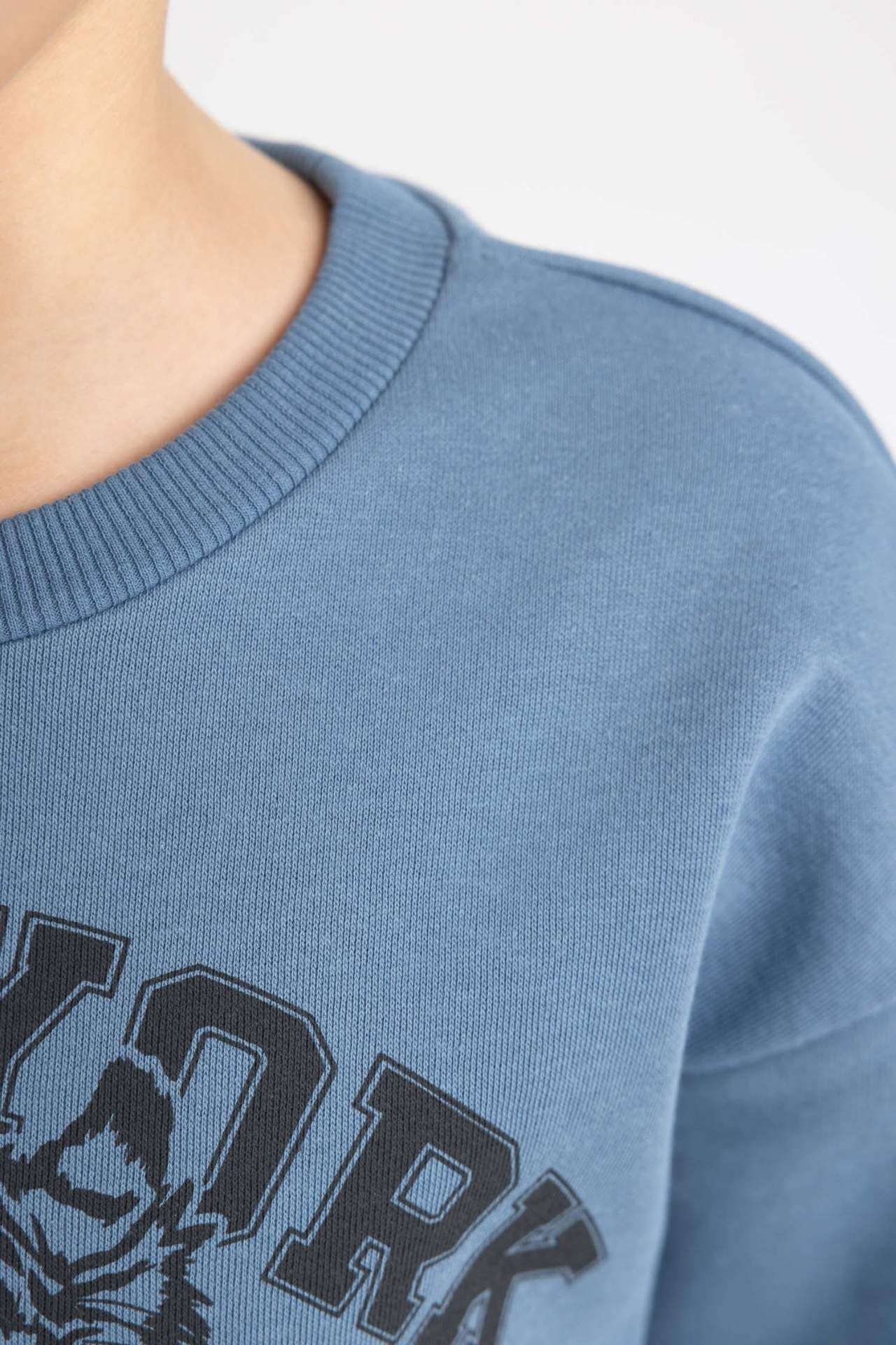 DeFacto Jungen B7822a8 Sweatshirt