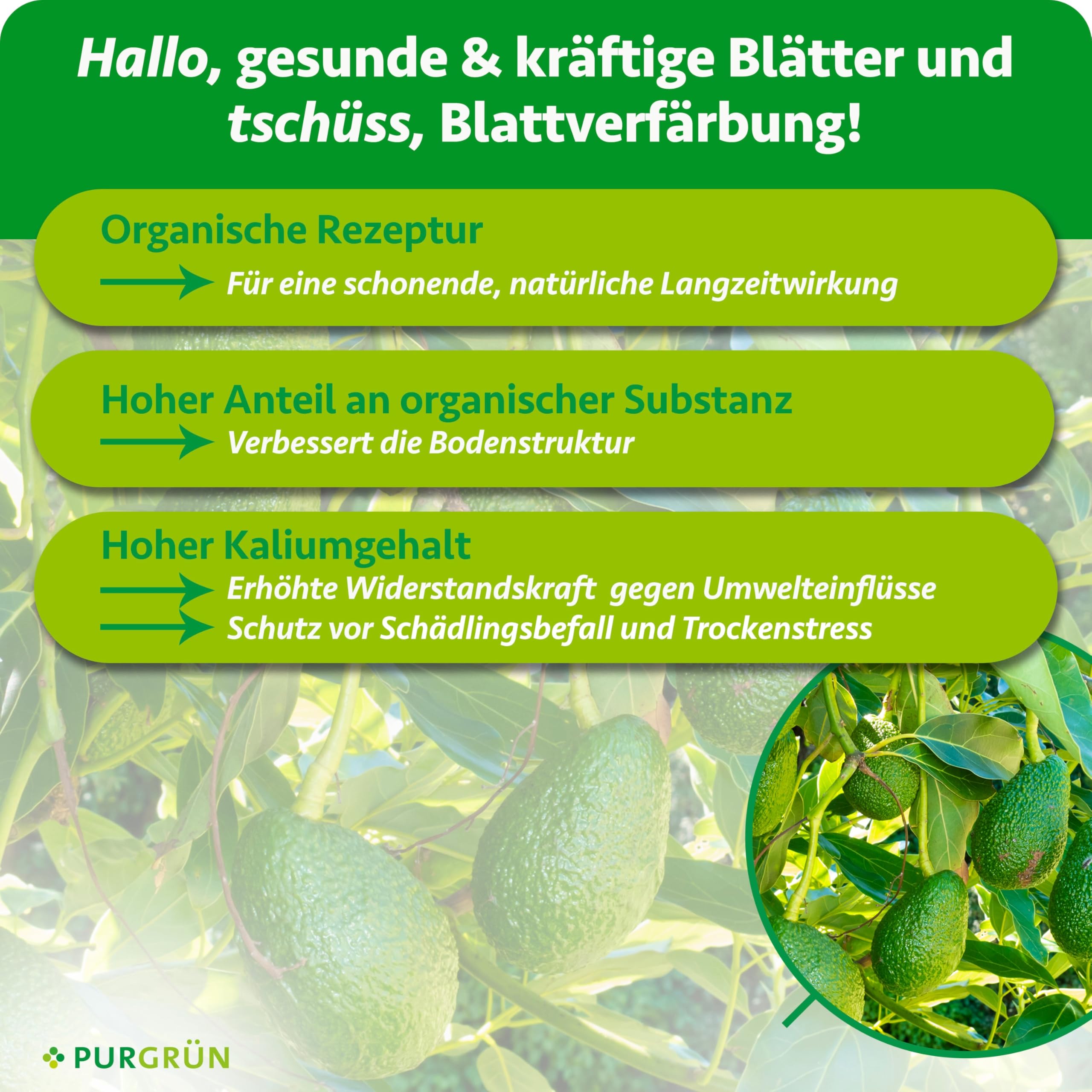 Bio-Avocado-Dünger 1 Liter – Organische Rezeptur – Premium-Flüssigdünger – NPK 4+1+7 – Mit Algenextrakt & Vinasse – Extra Kalium für prächtige Avocados – Ohne tierische Inhaltsstoffe