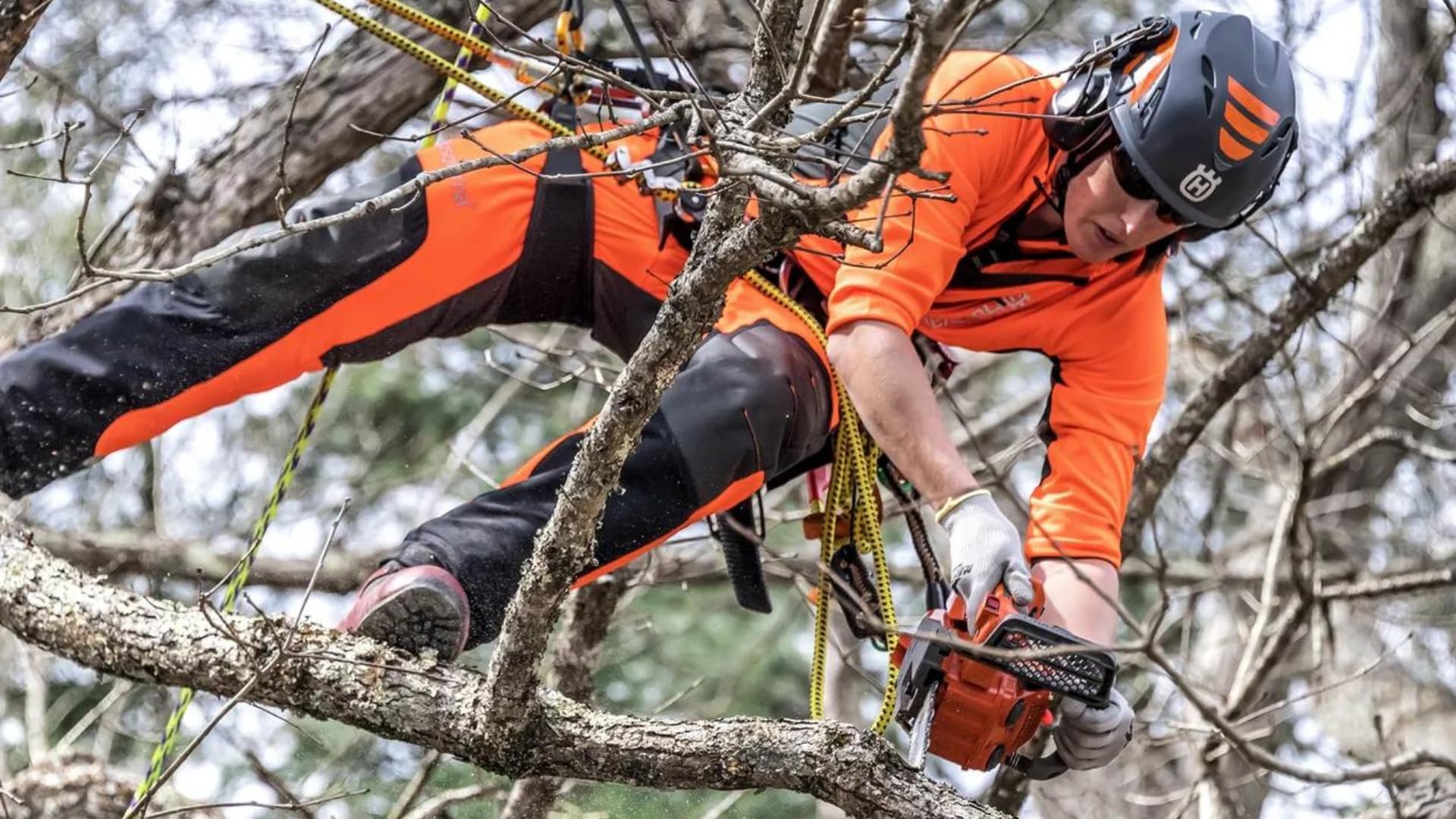 Husqvarna - Motosierra de podar, profesional, modelo T525