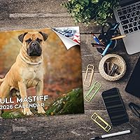 Vista 1201 de Razas de Perros 2017