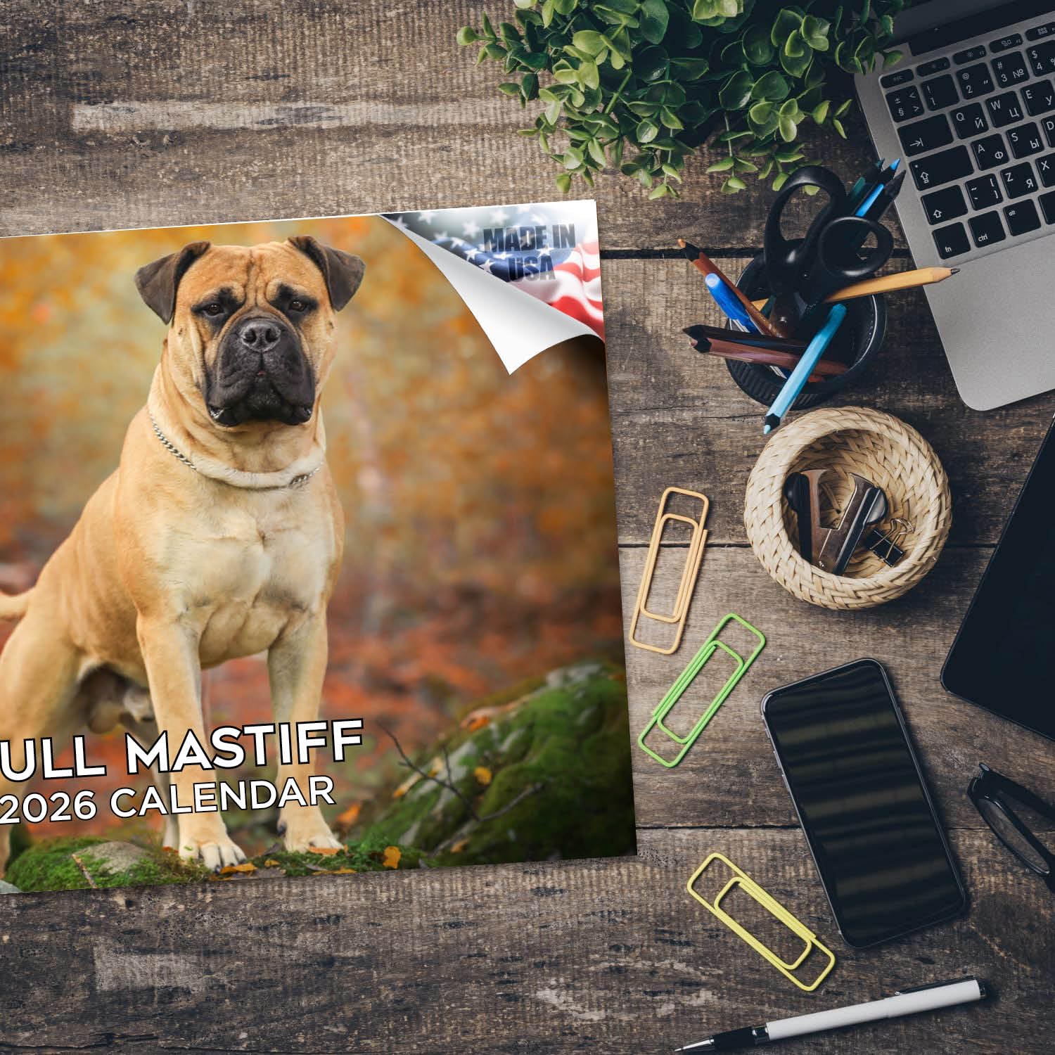 Calendario mensual de pared 2024 2025 con diseño de toro mastín – Calendario mensual de pared de raza de perro – 12 x 18 pulgadas abierto – Papel grueso que no se corre – Regalo – Planificador