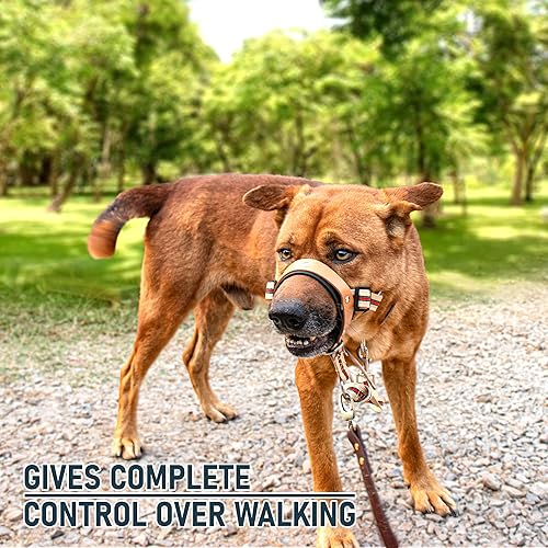 Miniatura 3 de ALPHA BOY Collar de entrenamiento para perros, cómodo y suave para todas las razas, fácil de usar, correa de cuero genuino, arnés de una pieza con