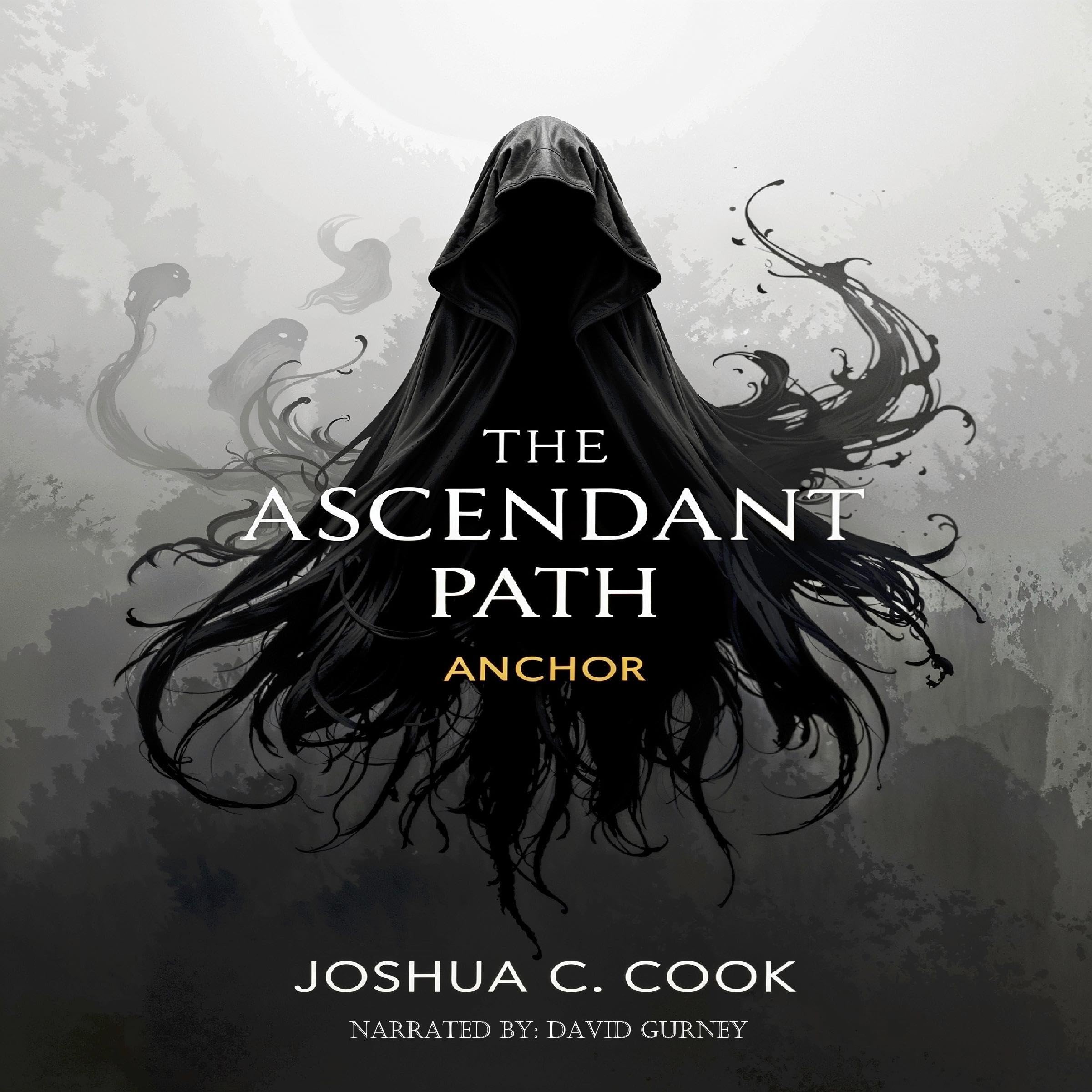 Cover art for Anchor