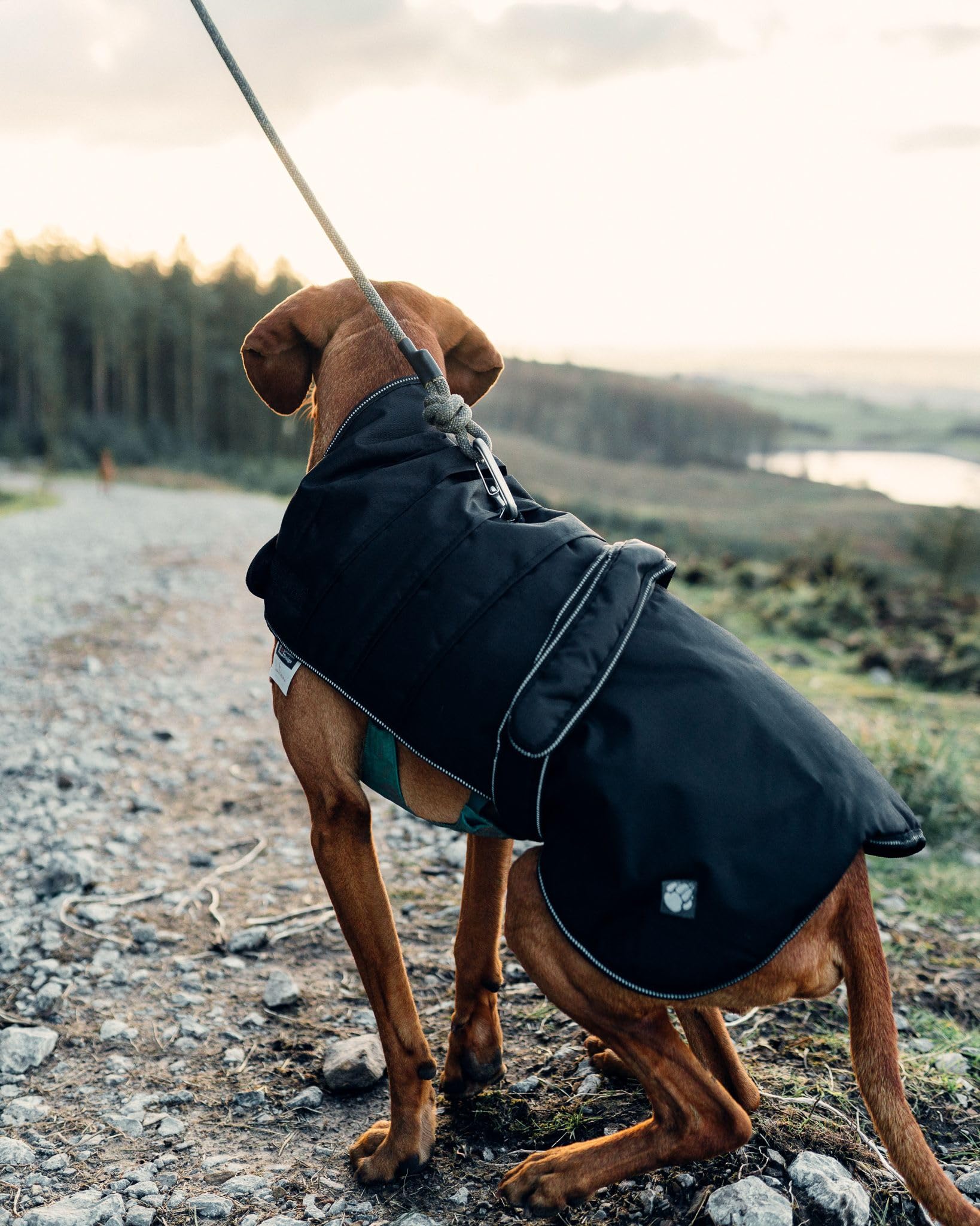 Danish Design Black Harness Water Proof Wind Proof Breathable Thermal Comfort Dog/Puppy Coat 12 Inch 30 cm - Image 4