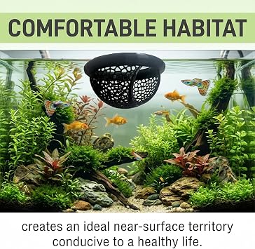 2 Pcs Betta Hammock for Aquarium Fish Tank Decor