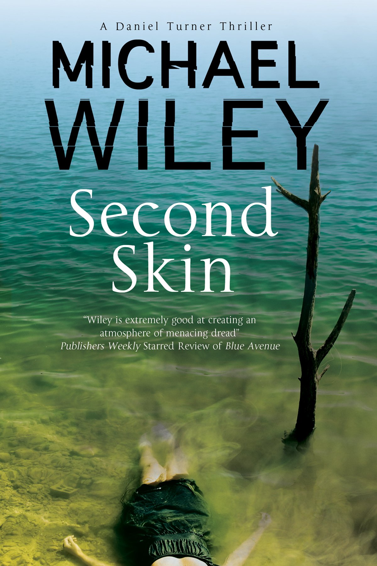 Buy Second Skin: A Noir Mystery Series Set in Jacksonville, Florida: 2 (A Daniel Turner Mystery) — BookShops.in