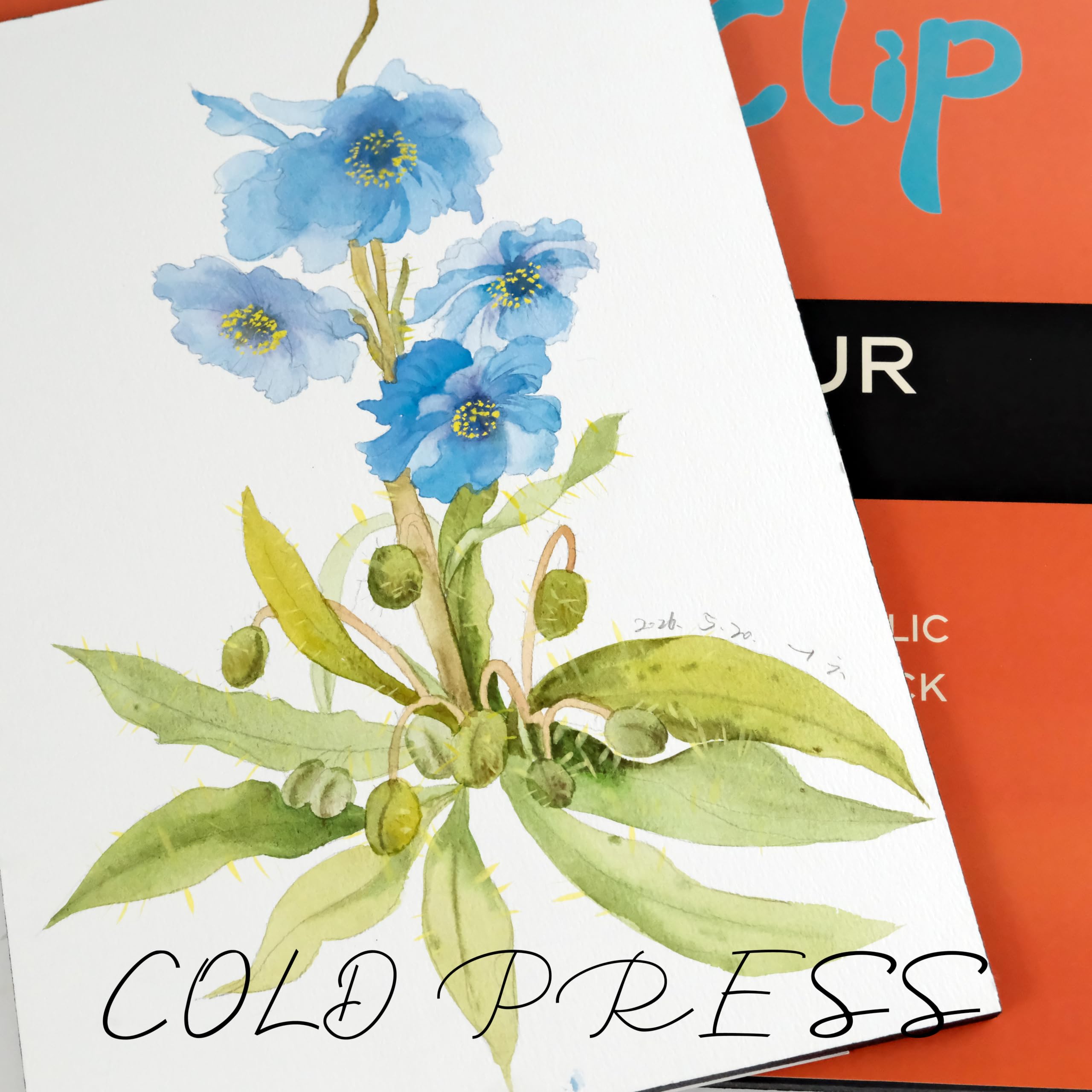 CuppaClip Bloc de papier aquarelle en pur coton 300 g/m² - Sans acide - 20 feuilles - Fournitures d'art aquarelle (presse à froid, 25,9 x 17,8 cm)