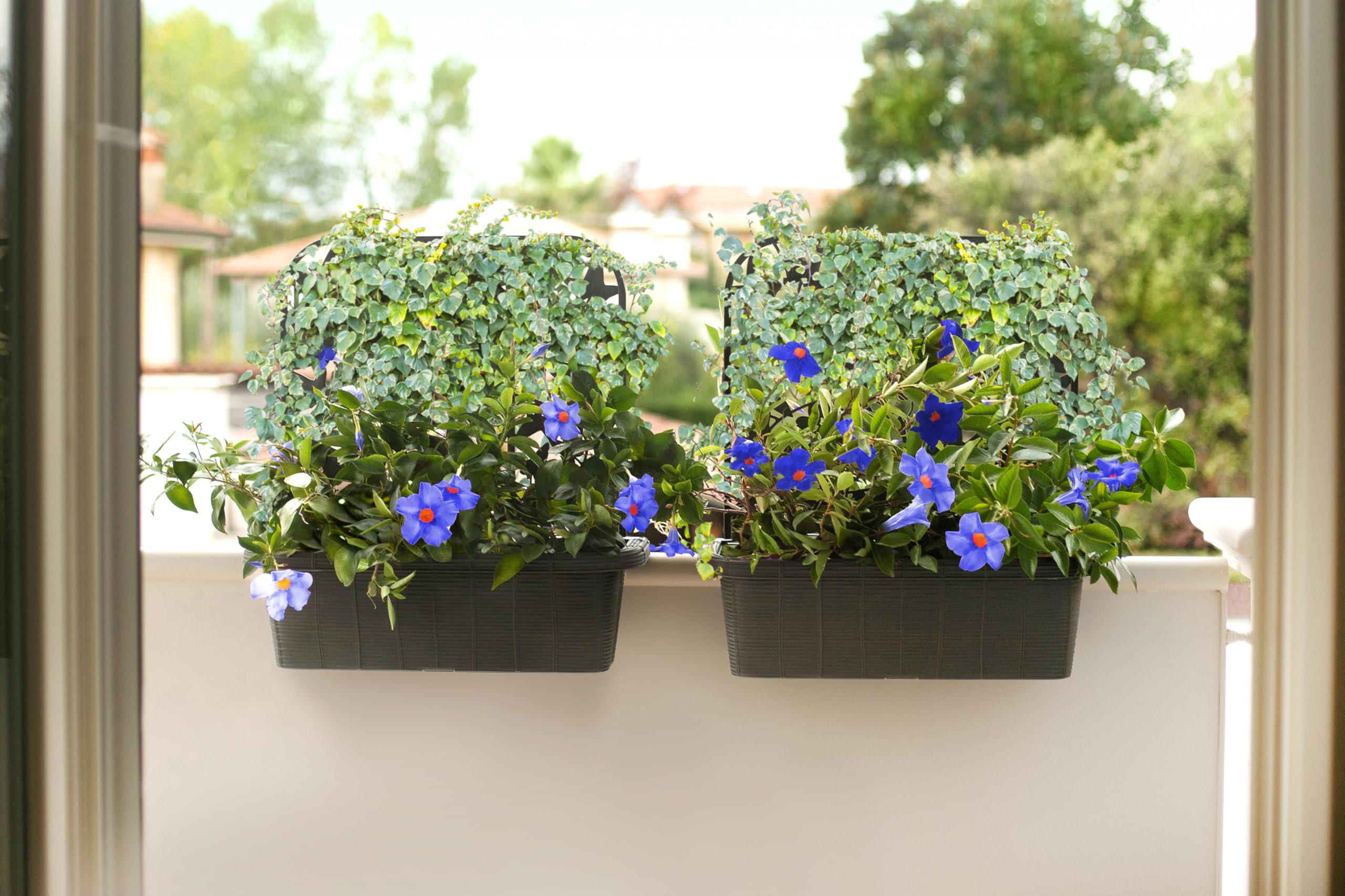 bama Lot de 2 jardinières Rondes