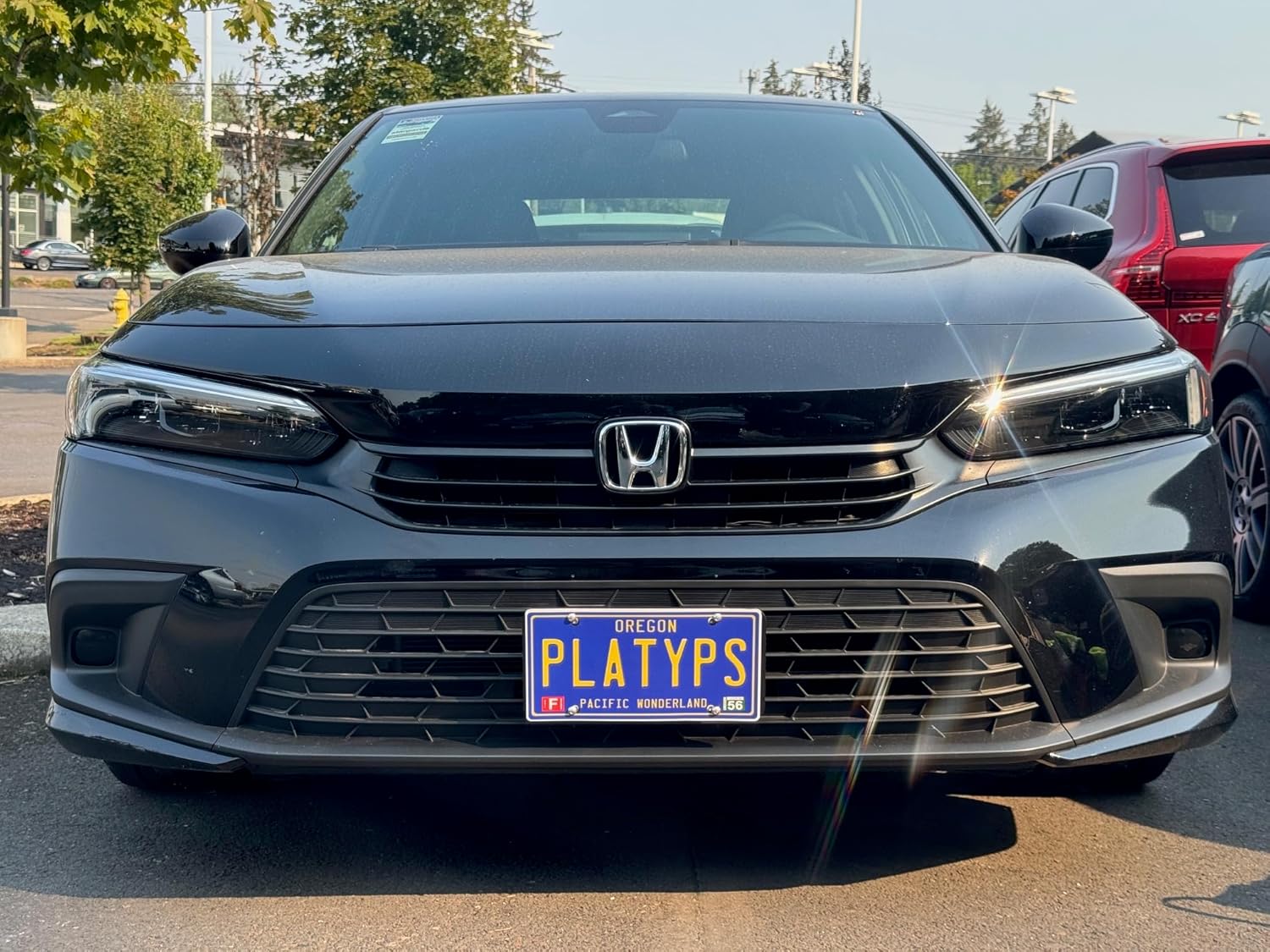 CravenSpeed Platypus License Plate Grille Mount Compatible with Honda Civic 2021-2025 | No Drilling | Installs in Seconds | Made of Stainless Steel & Aluminum | Made in USA
