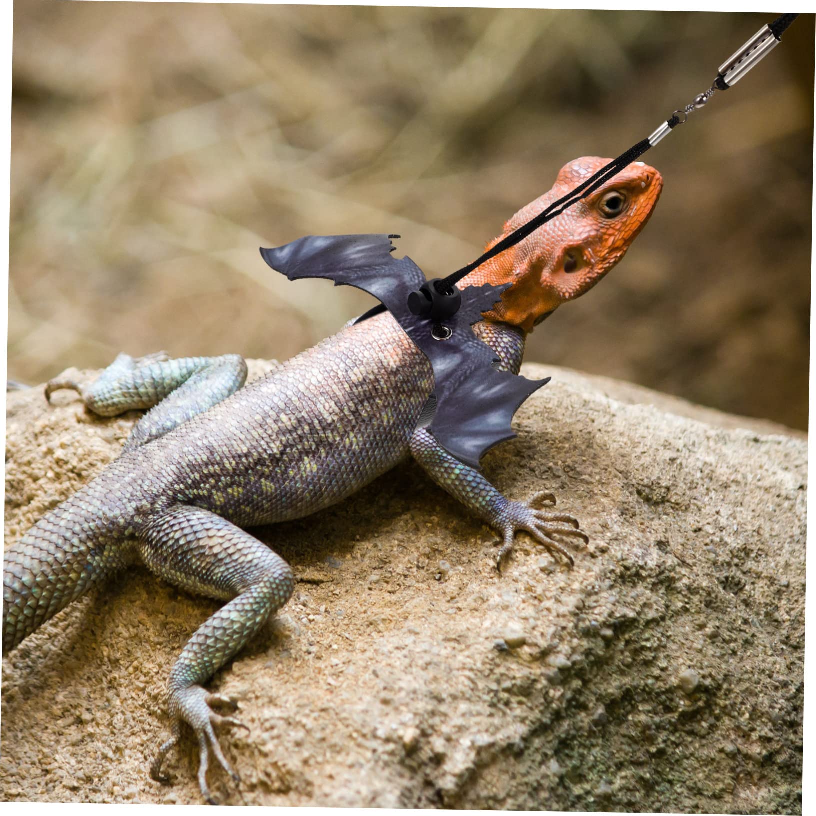 BESPORTBLE 4 Sätze Fledermausband Für Kleine Haustiere Meerschweinchenleine Kleines Haustiergeschirr Zugband Für Reptilien Leopardgecko-leinen Hasengeschirr -Frettchen-Geschirr Stoff