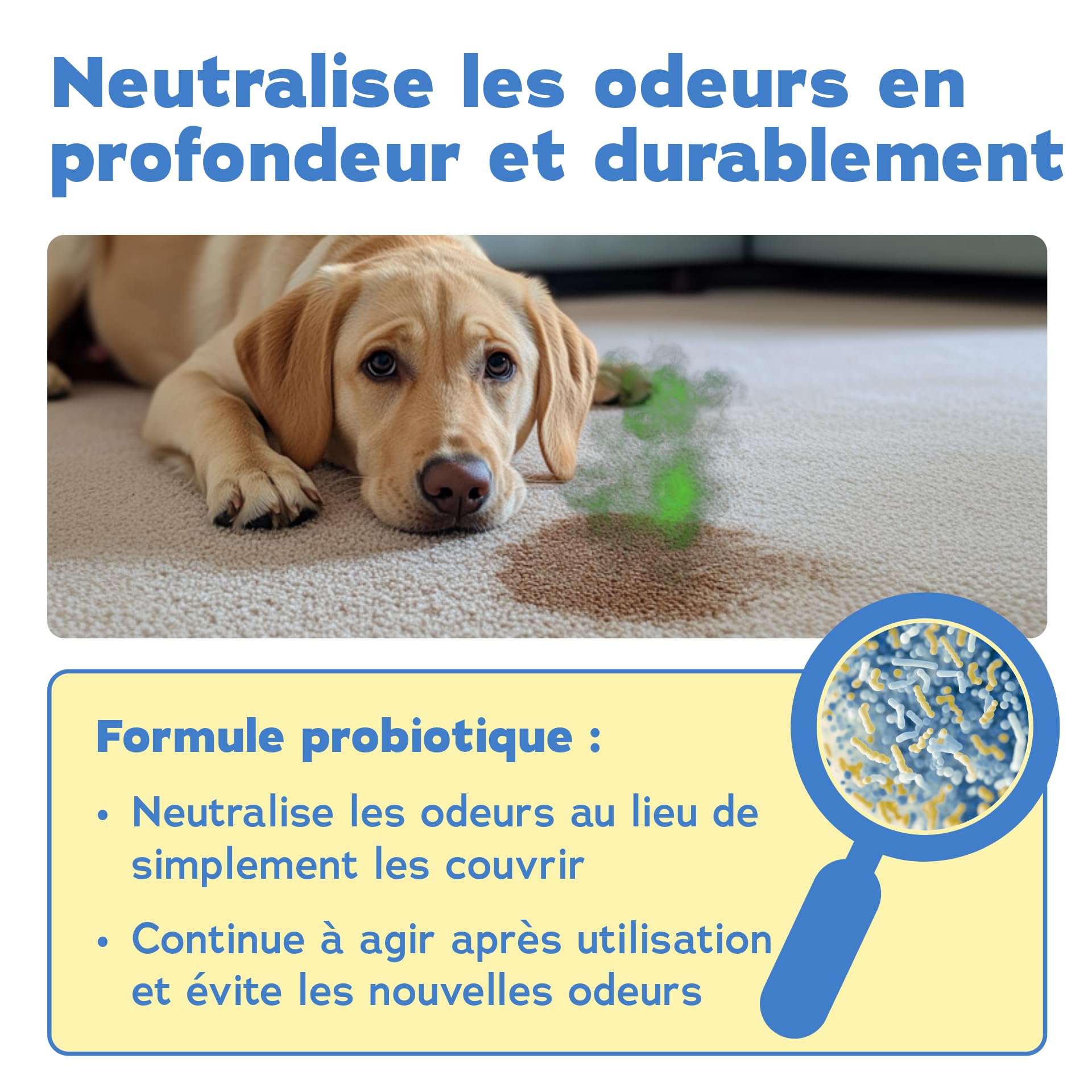 bio-chem Nettoyant anti odeur chiens 3 x 750 ml | Désodorisant destructeur d odeur urine chien- Nettoyage litiere pour chien - produit menager entretien maison