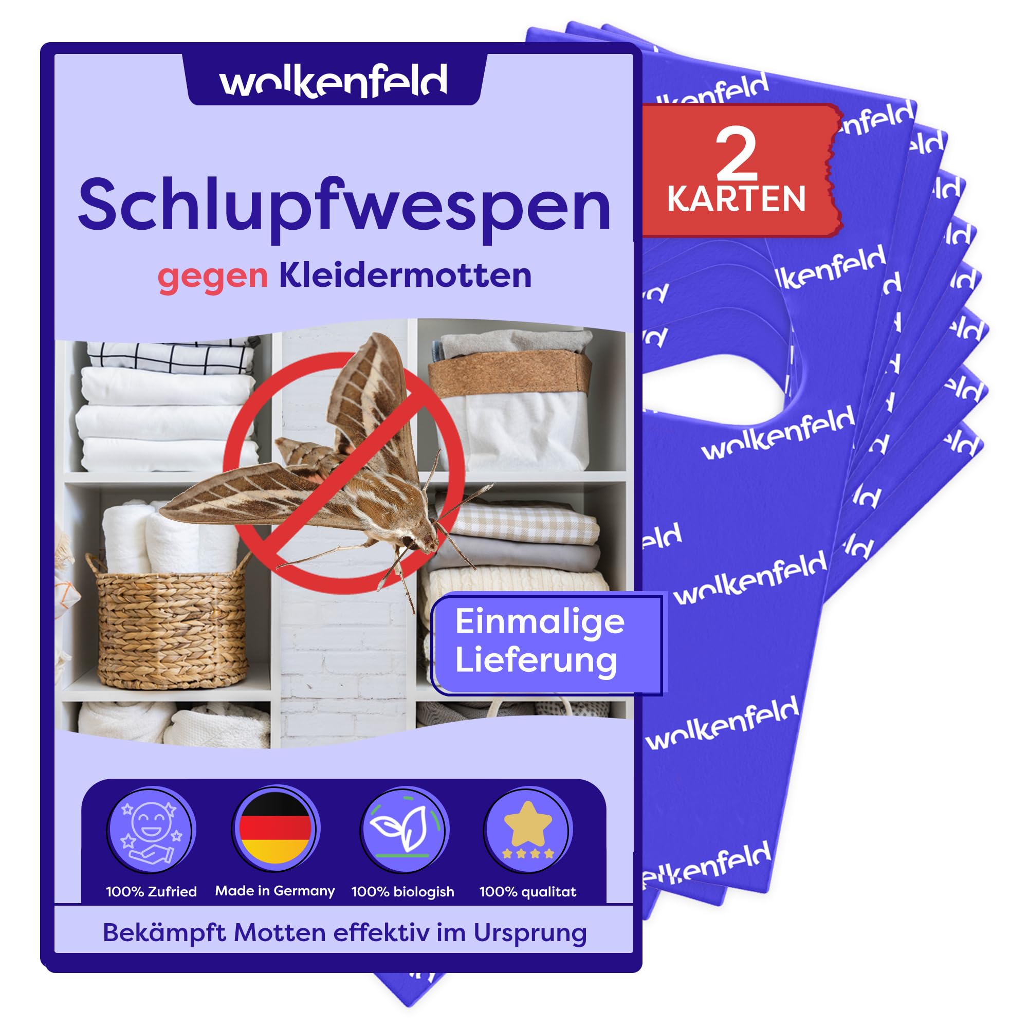 Wolkenfeld