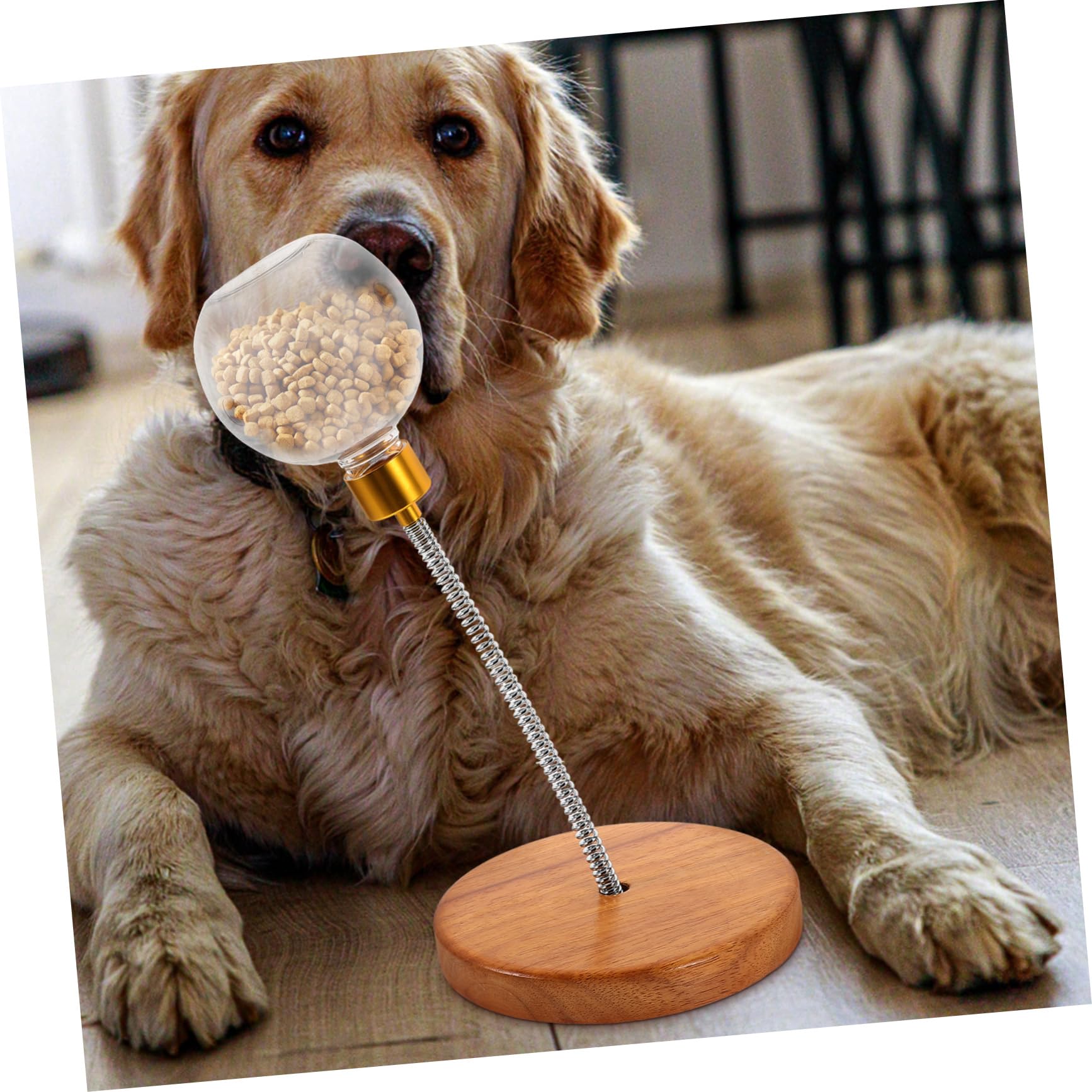 Snackball Interaktives Kauspielzeug für Hunde aus Kunststoff und Edelstahl zur Stressbefreiung und Hundetraining für Kleine und Mittlere Hunde