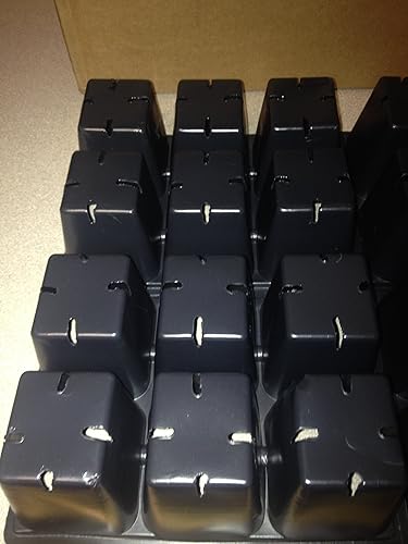 Miniatura 2 de Bandejas de germinación de semillas (Cant.150) 900 células totales