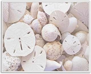 'White Mixed Sand Dollar Shells'| Framed Giclee Art