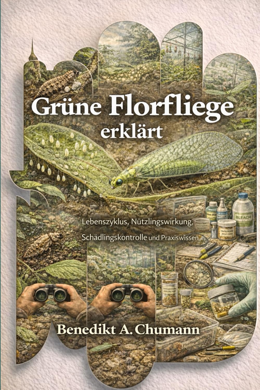 Grüne Florfliege erklärt: Lebenszyklus, Nützlingswirkung, Schädlingskontrolle und Praxiswissen