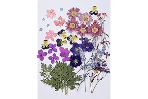 11 Types Real Dried Pressed Flowers and Leaves - Purple Pressed Flowers for Crafts